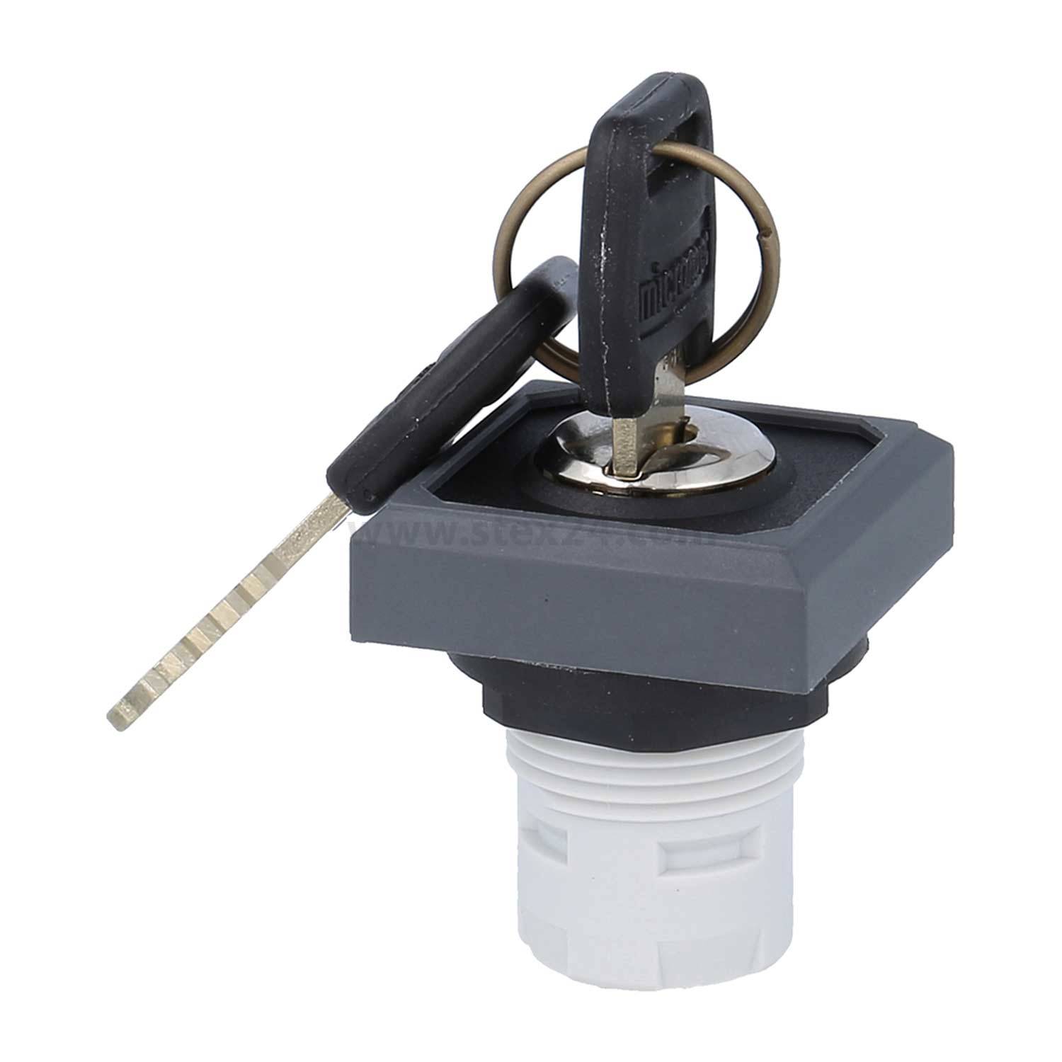 Schlüssel wird in einen elektrischen Kontrollschalter mit grau-weißem Gehäuse eingeführt, entwickelt für sichere Gerätesteuerung.