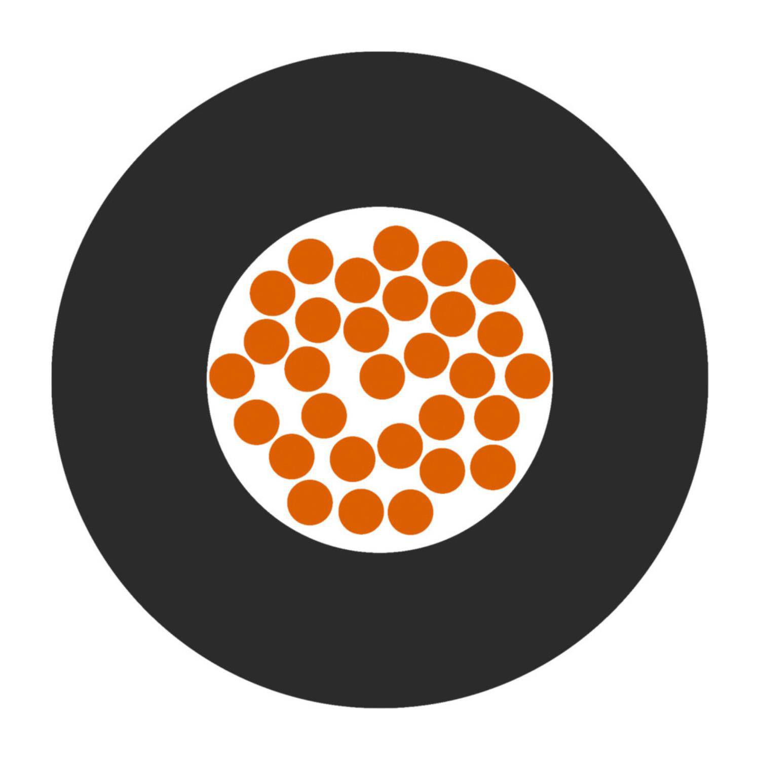 Ein schwarzer Kreis mit einem kleineren weißen Kreis im Inneren, in dem zahlreiche kleine orangefarbene Kreise im Zentrum gruppiert sind.