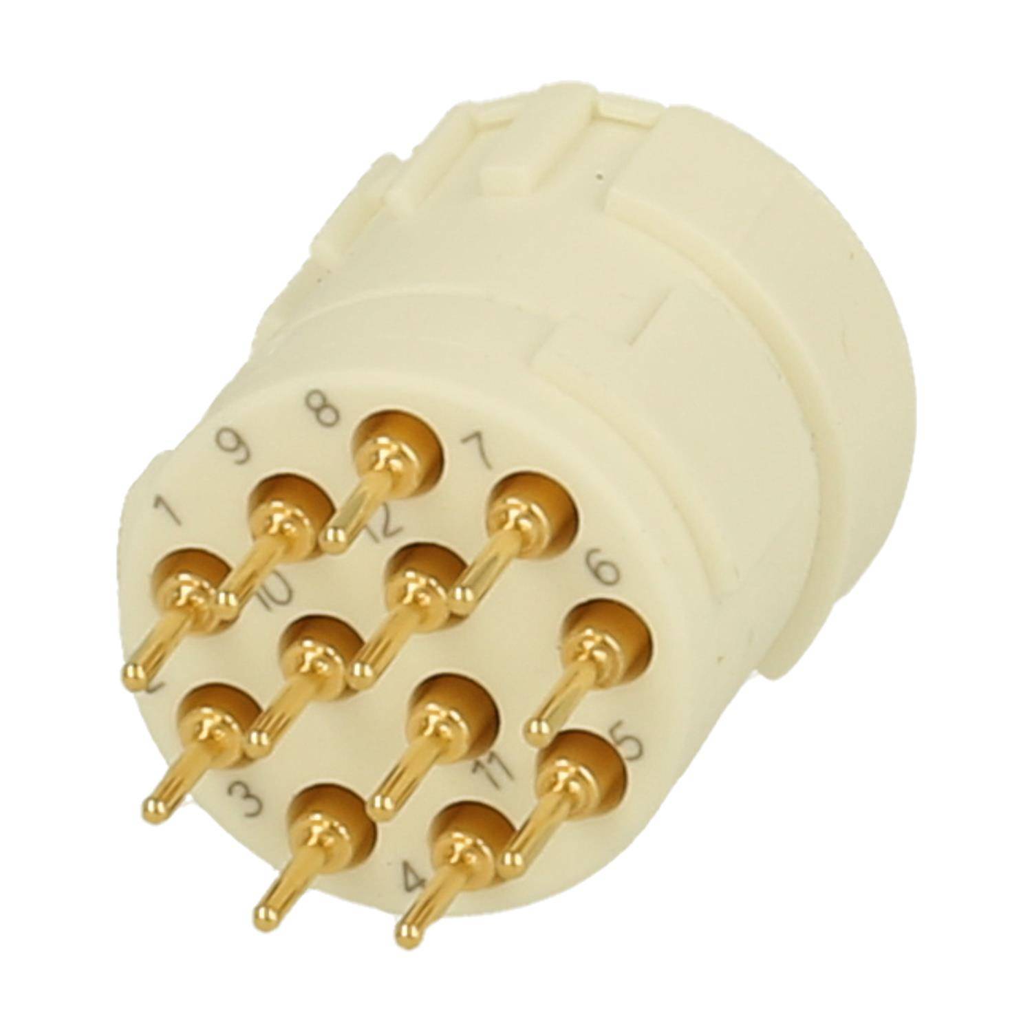 Ein runder, cremefarbener elektrischer Anschluss mit zwei Reihen von sechs goldenen Kontaktstiften, Nummern von 1 bis 12 rund um den Umfang beschriftet.