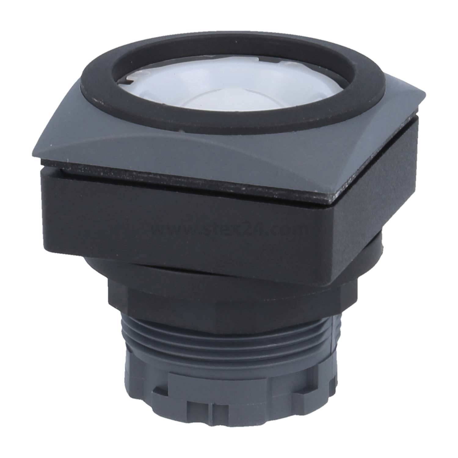 QRJTSW Georg Schlegel Drucktaste beleuchtbar, quadratisch, QUARTEX-R-JUWEL Hub 6,0mm - 1Stück