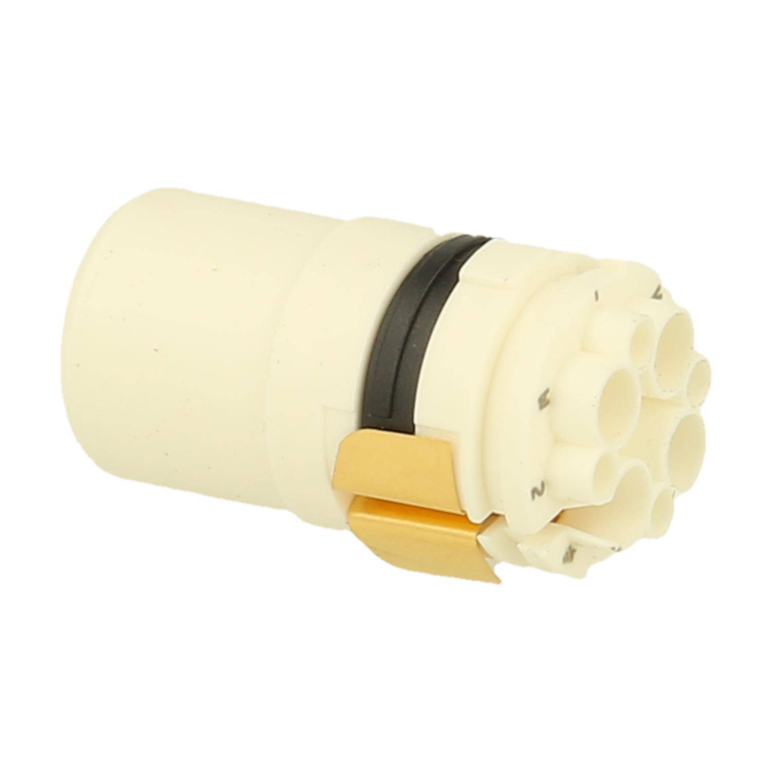 Nahaufnahme eines beigen zylindrischen Objekts mit mehreren kleinen kreisförmigen Vorsprüngen an einem Ende und einer schwarzen Linie in der Mitte.