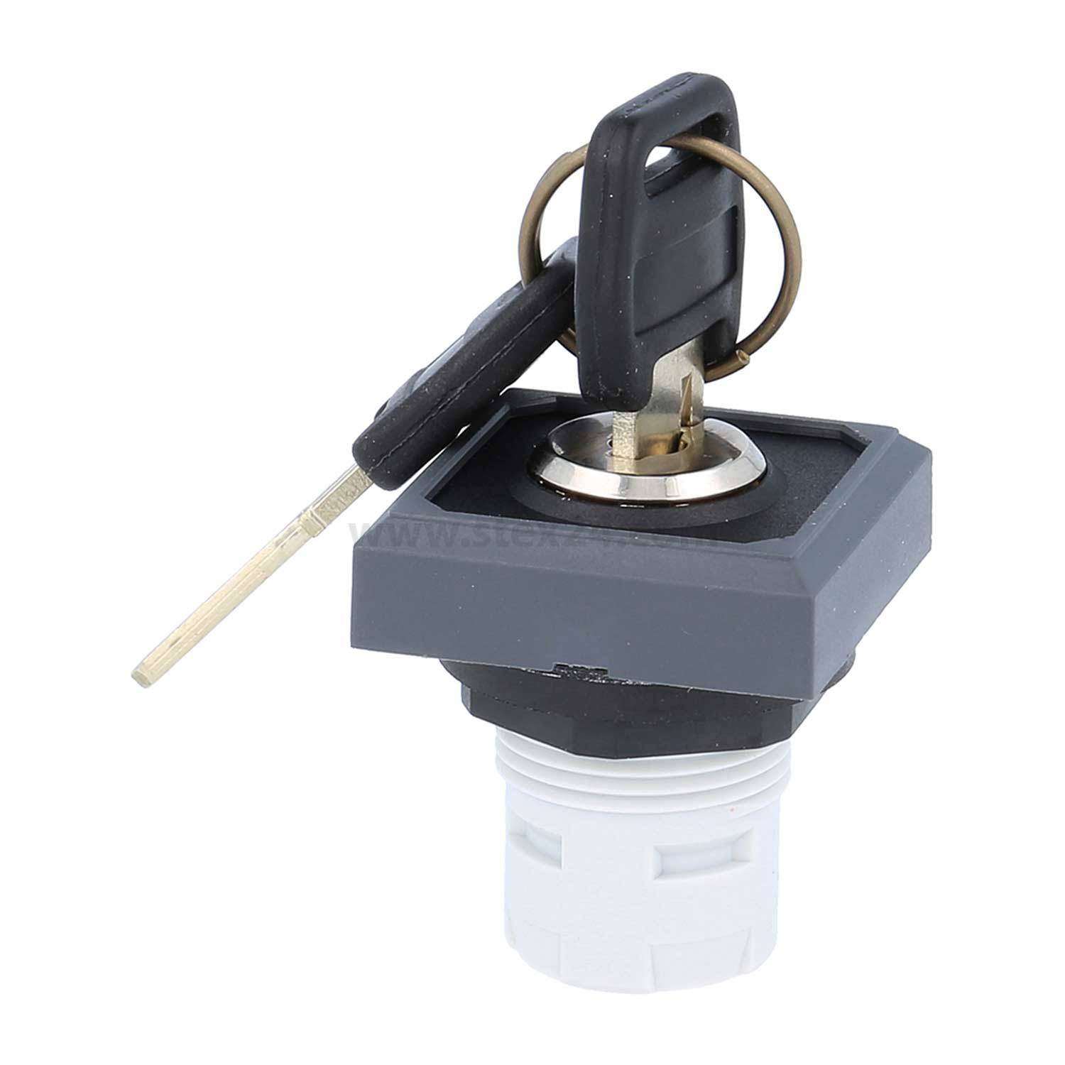 Ein schwarzer und silberner Schlüssel, der in einen Schließzylinder mit weißem Montagebehältnis eingeführt wird, verwendet für Sicherheits- oder Schalttafelzugang.