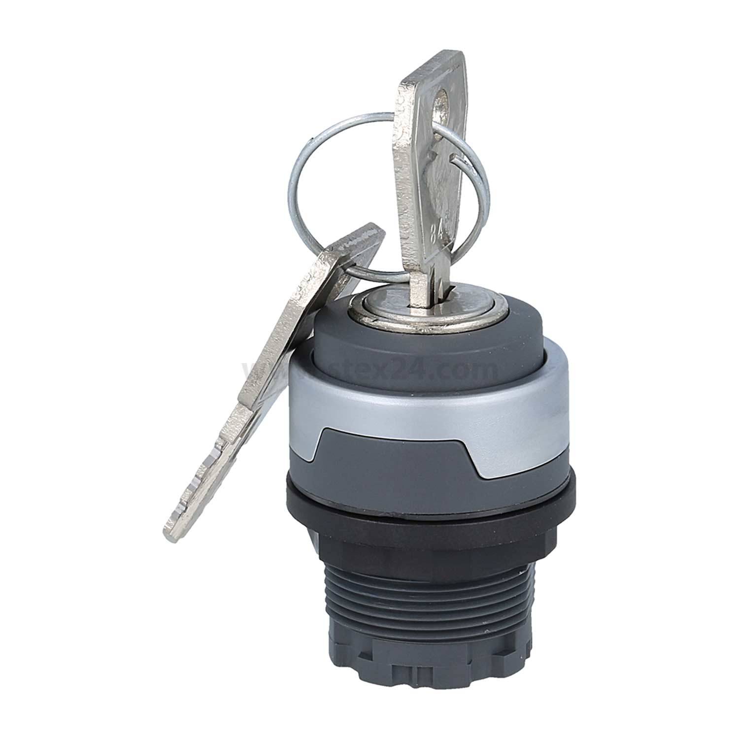 Zwei silberne Schlüssel, die in einen grauen und schwarzen Schließzylinder eingeführt werden, an einem Ring befestigt.