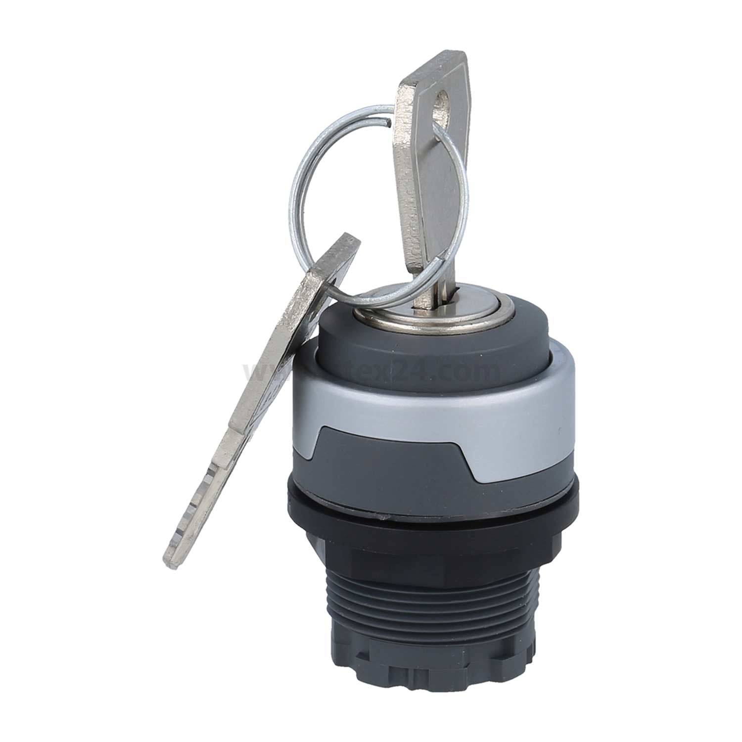 Ein Metallschlüssel wird von der Seite in einen grauen Schlossschalter eingeführt. Der Schlossschalter hat eine schwarze Basis und einen silbernen Deckel.