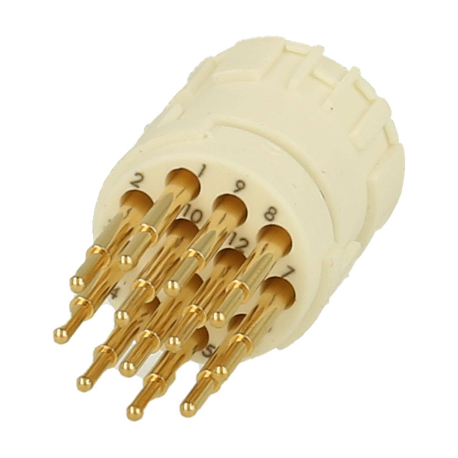 Ein 12-poliger elektronischer Steckverbinder mit beschrifteten Pins, entwickelt für hochdichte Verbindungen in elektronischen Geräten.
