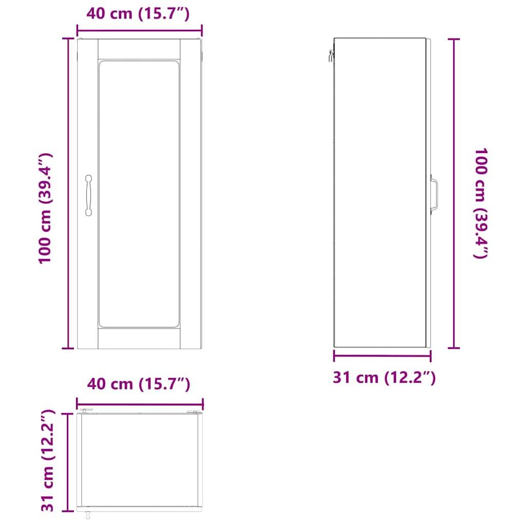 Drei-Ansichten-Diagramm eines Schranks mit Abmessungen: Frontansicht 100 cm x 40 cm, Seitenansicht 100 cm x 31 cm und Draufsicht 40 cm x 31 cm.