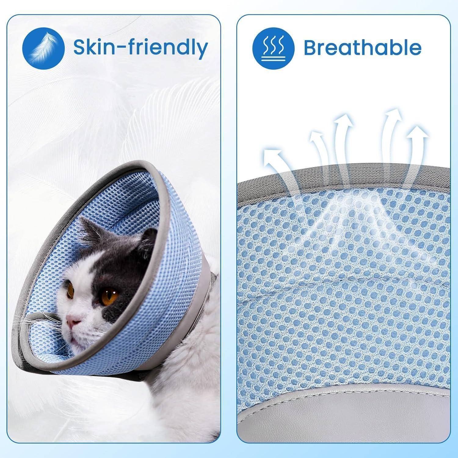 Eine Katze mit einem blauen Schutzkegel ist zu sehen. Links wird 