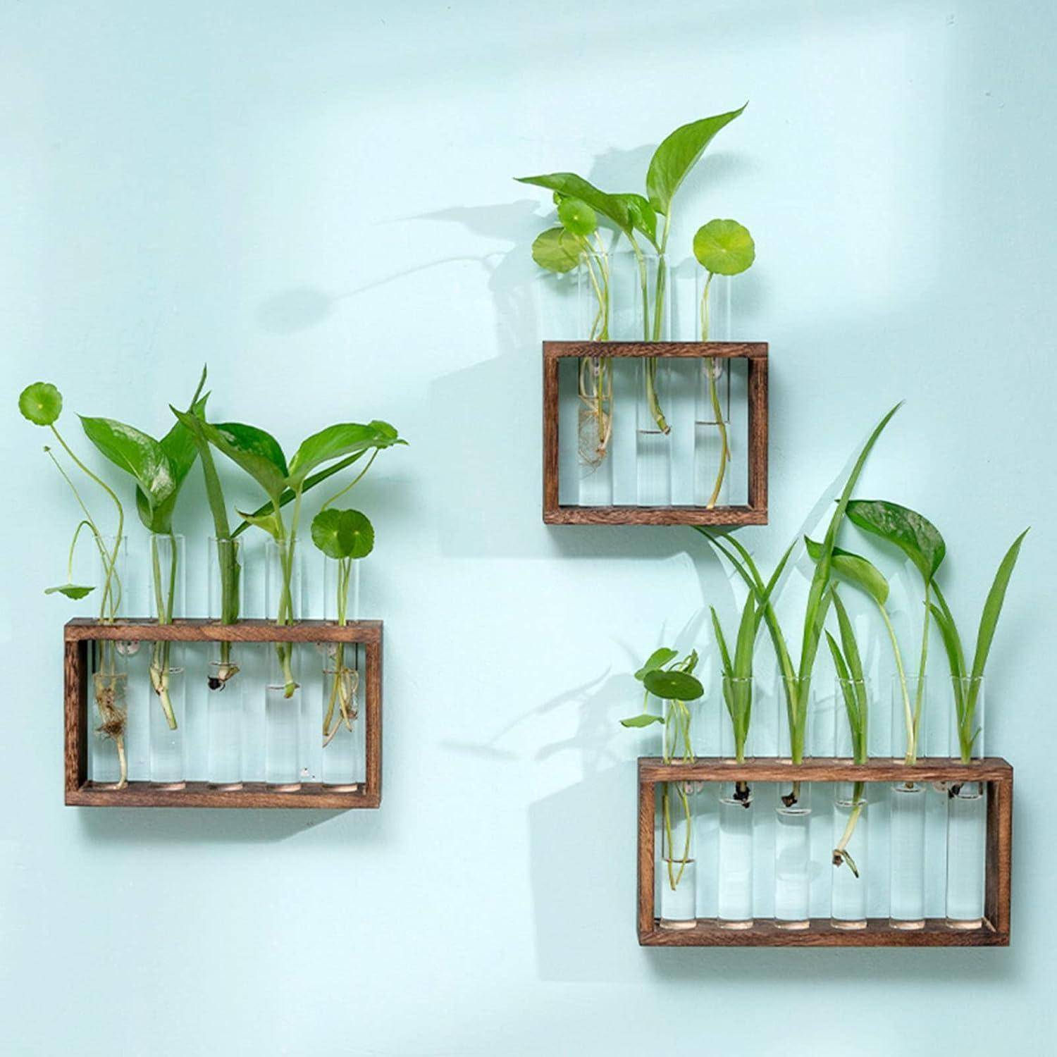 Reagenzgläser mit Korken 12x75mm 10 Stück ideal für Blumen