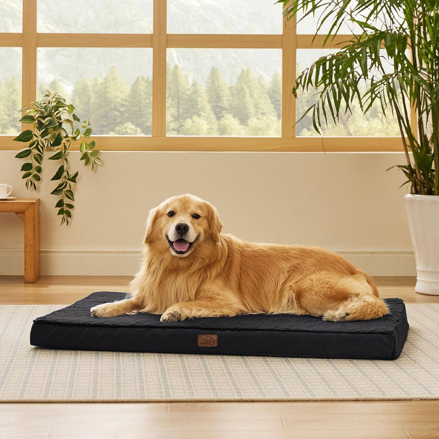Ein Golden Retriever liegt behaglich auf einem schwarzen Bett in einem sonnendurchfluteten Raum mit großen Fenstern, grünen Pflanzen und einem friedlichen Ausblick nach draußen.