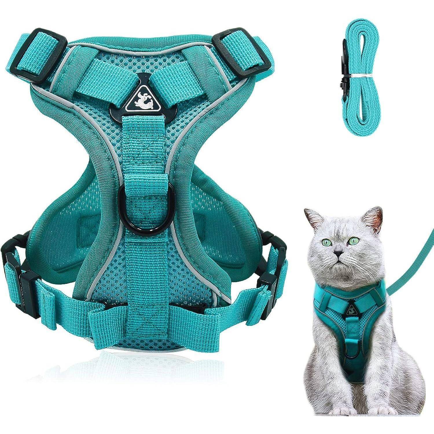 Ein türkisfarbenes Katzengeschirr-Set mit verstellbaren Riemen und einem Metall-D-Ring. Eine Katze trägt das Geschirr und wirkt zufrieden.