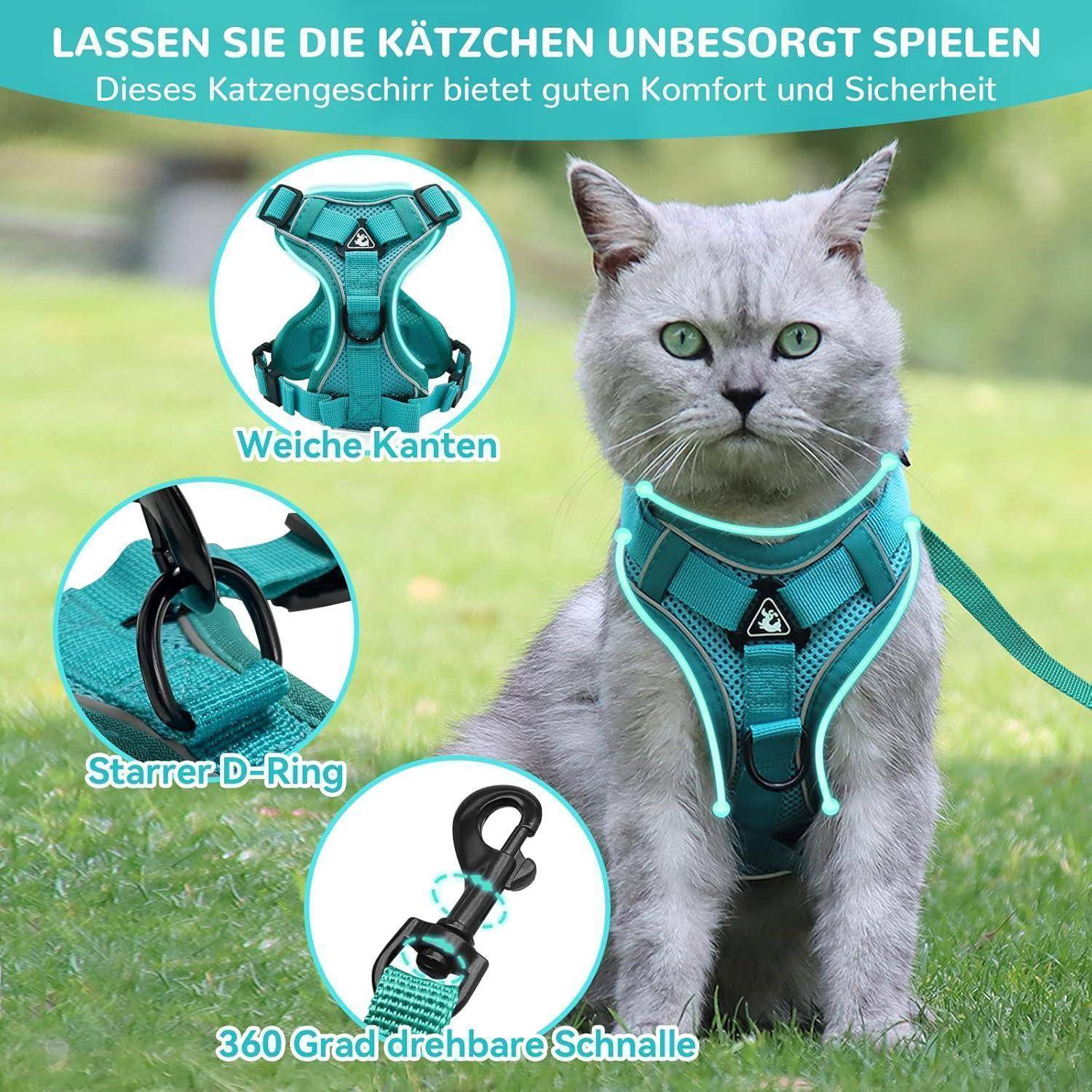 Eine graue Katze trägt ein Geschirr in Türkisblau mit weichen Kanten, einem stabilen D-Ring und einer um 360 Grad drehbaren Schnalle, das Komfort und Sicherheit fördert.