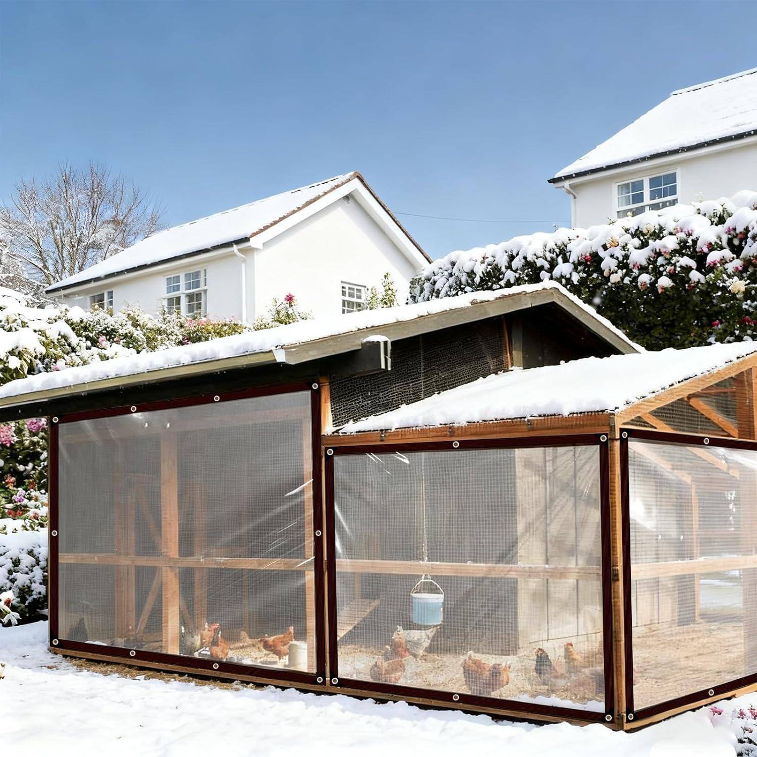 Ein schneebedeckter Hinterhof mit einem klaren Hühnerstall, der mehrere Hühner beherbergt, angrenzend an ein weißes Haus. Schnee liegt auf dem Dach und auf nahegelegenen Pflanzen.