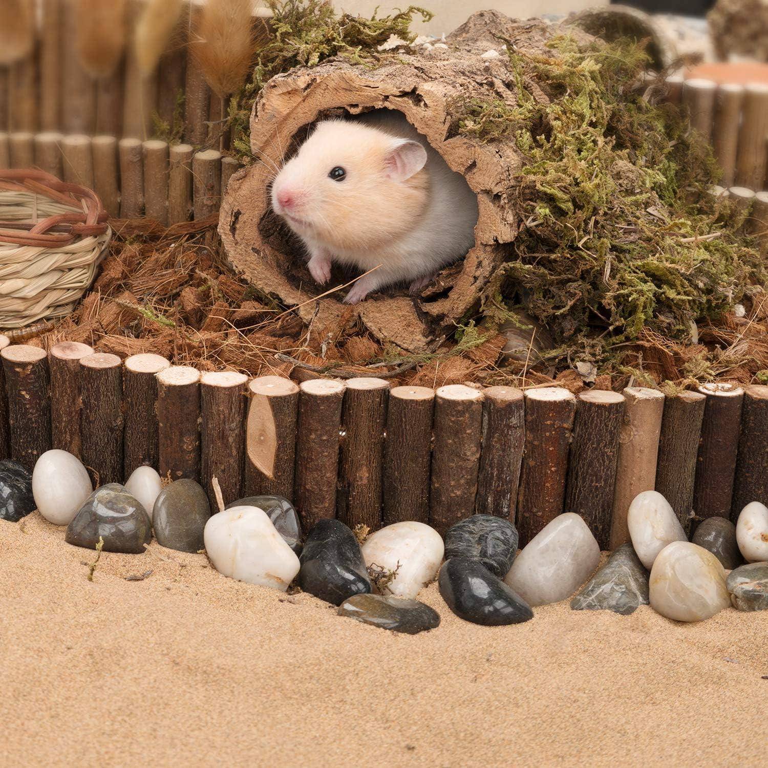 Hamster Hängebrücke Spielzeug Kletterleiter Zwerghamster Mäuse Gerbils