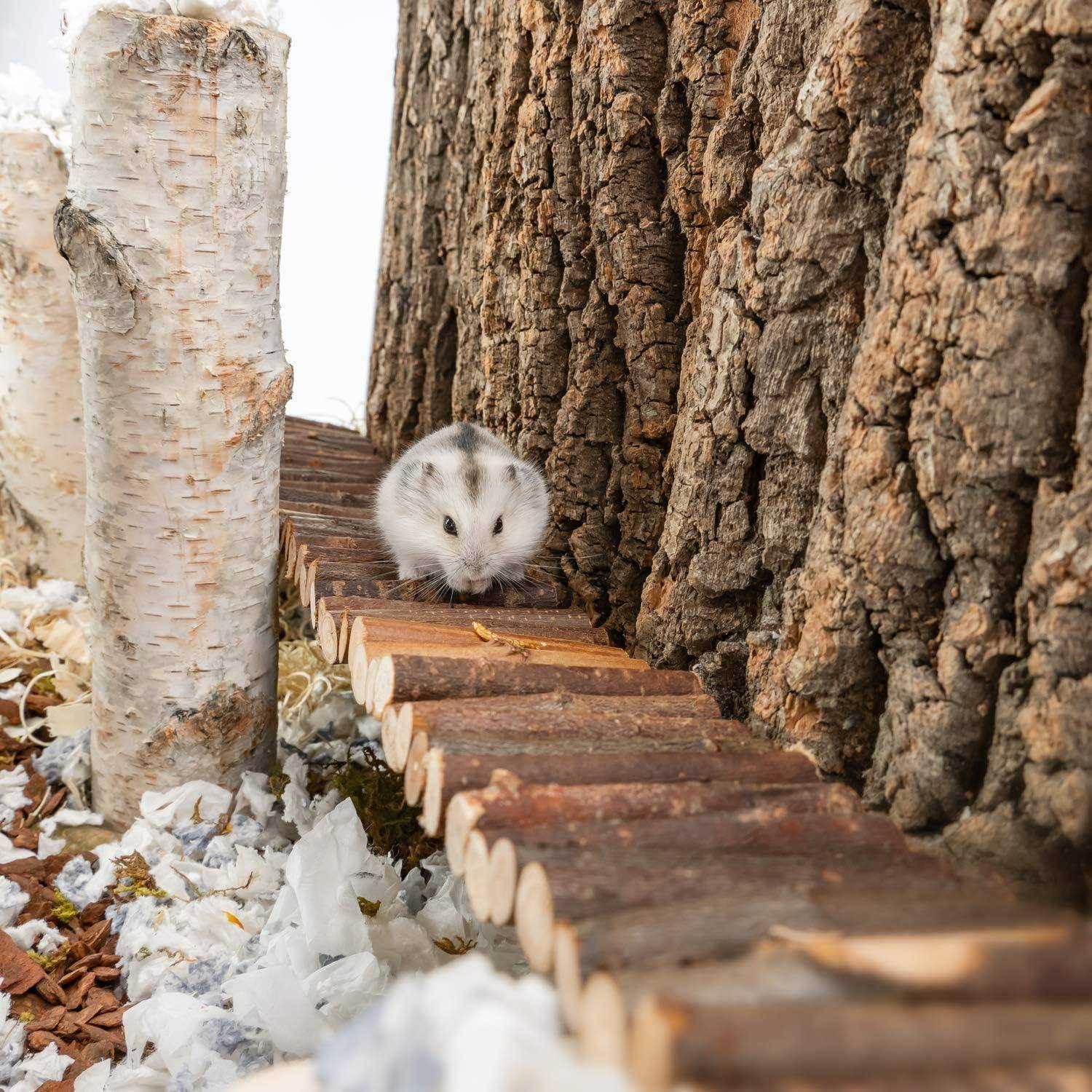 Hamster Hängebrücke Spielzeug Kletterleiter Zwerghamster Mäuse Gerbils