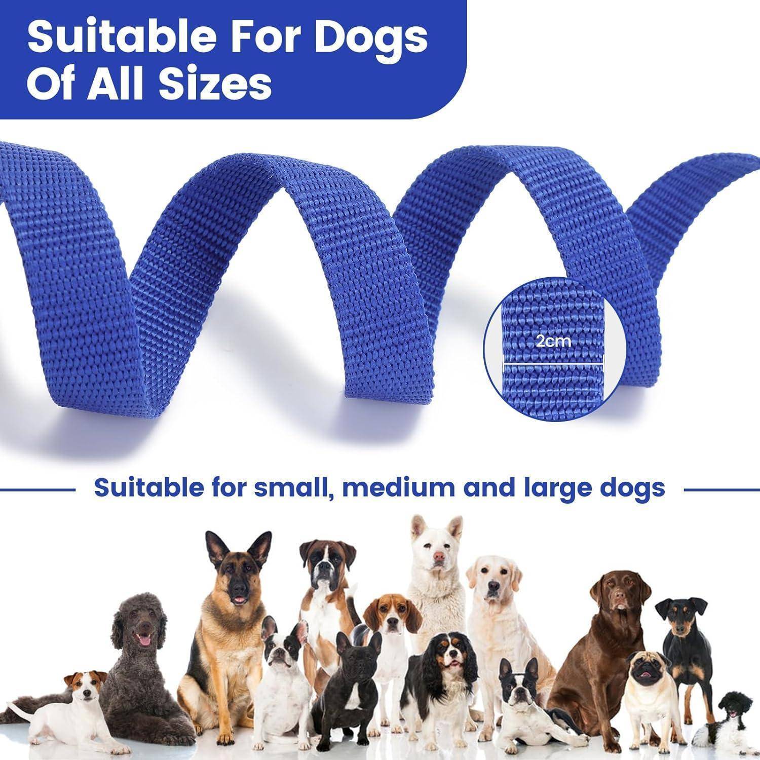 Schleppleine Hund Nylon 10m D-Karabiner Wetterfest Blau