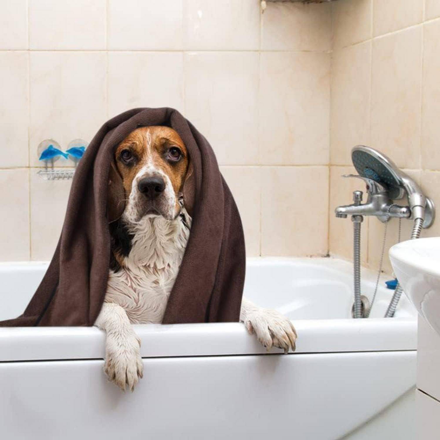 Super saugfähiges Mikrofaser Haustierhandtuch für Hunde und Katzen