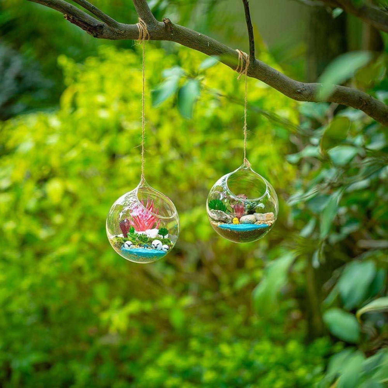 Vase hängende Glaskugel Sukkulenten Terrarium 12cm 4Pcs clear