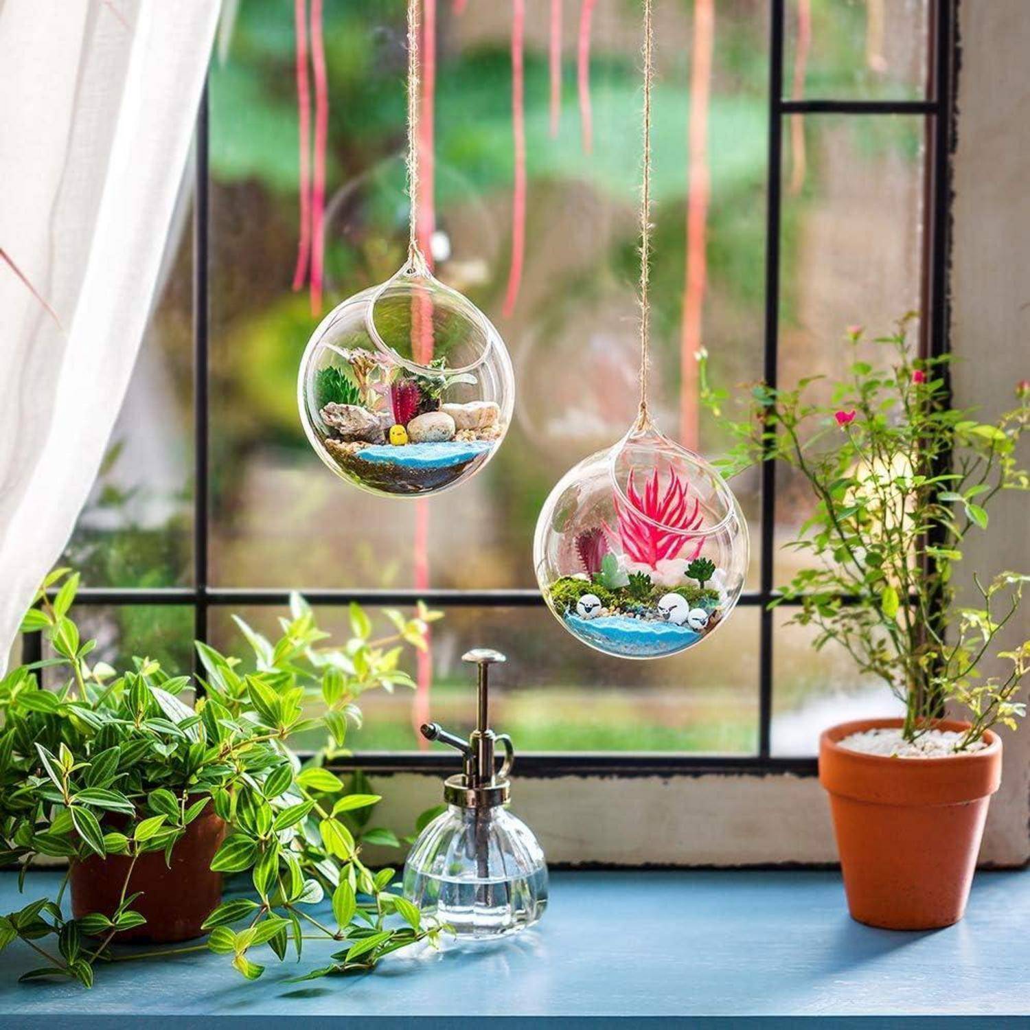 Vase hängende Glaskugel Sukkulenten Terrarium 12cm 4Pcs clear