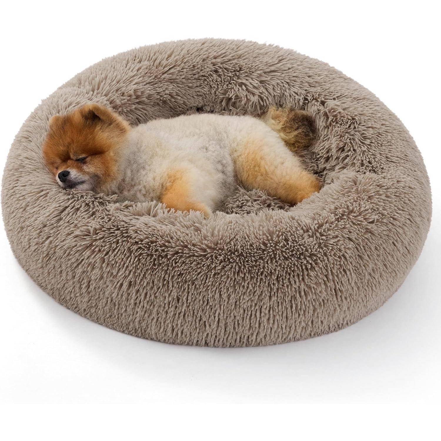 Ein kleiner, flauschiger Hund schläft zusammengerollt in einem runden, weichen, beigen Hundebett und wirkt gemütlich und entspannt.