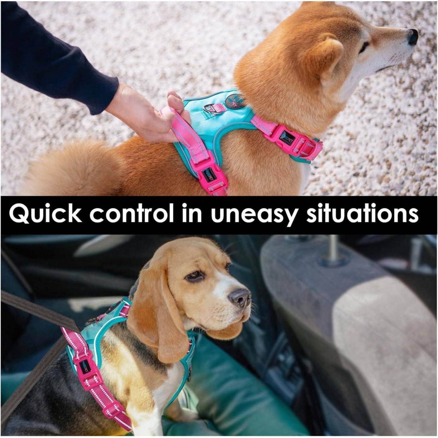 Hundegeschirr NoPull Mintgrüne Basis und Rosa Träger Medium