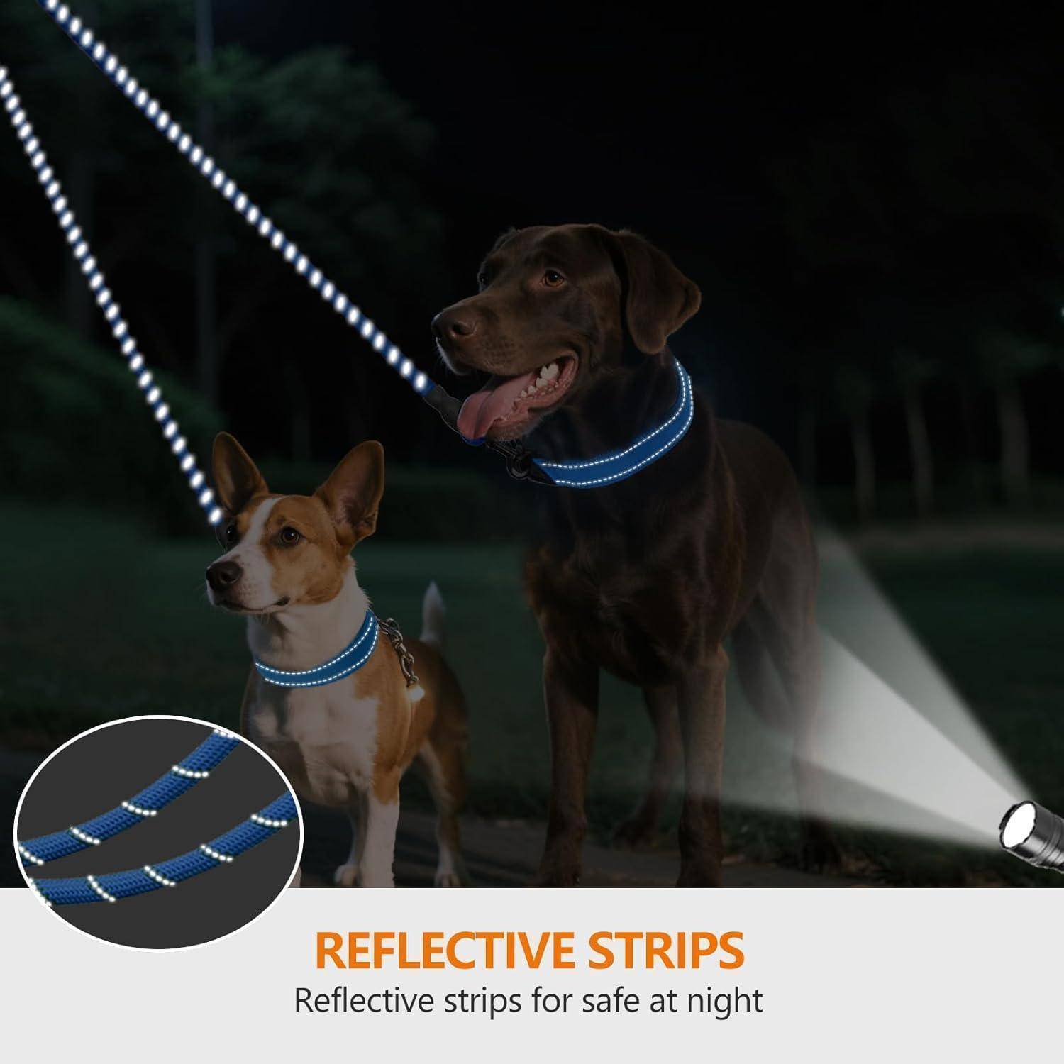 Doppelleine 2 Hunde Reflektierend Anti 75 cm (1er Pack) BLAU