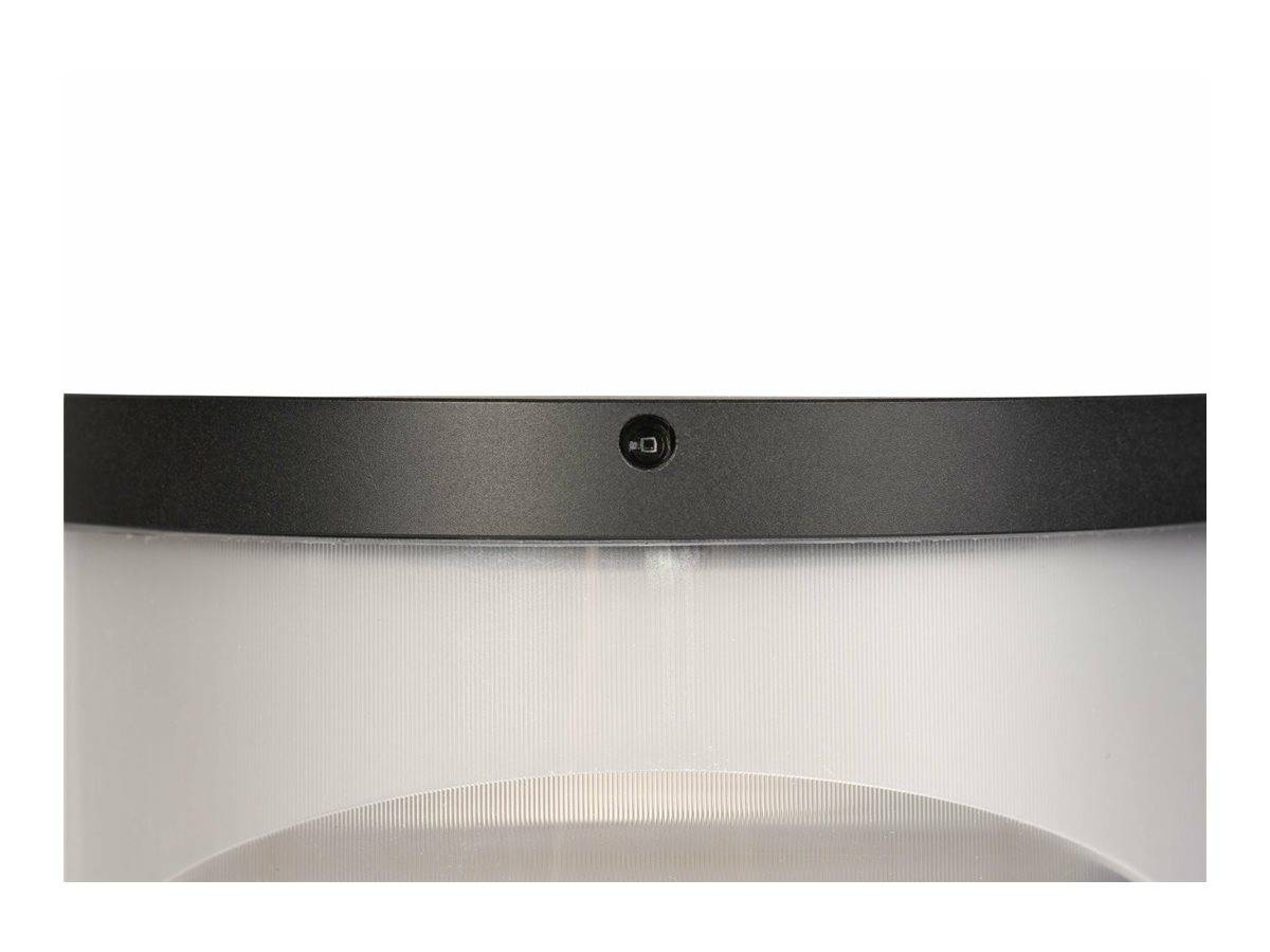 Eine schwarzgerahmte, zylindrische Leuchte mit einem matten Glasschirm, montiert auf einem weißen Hintergrund.