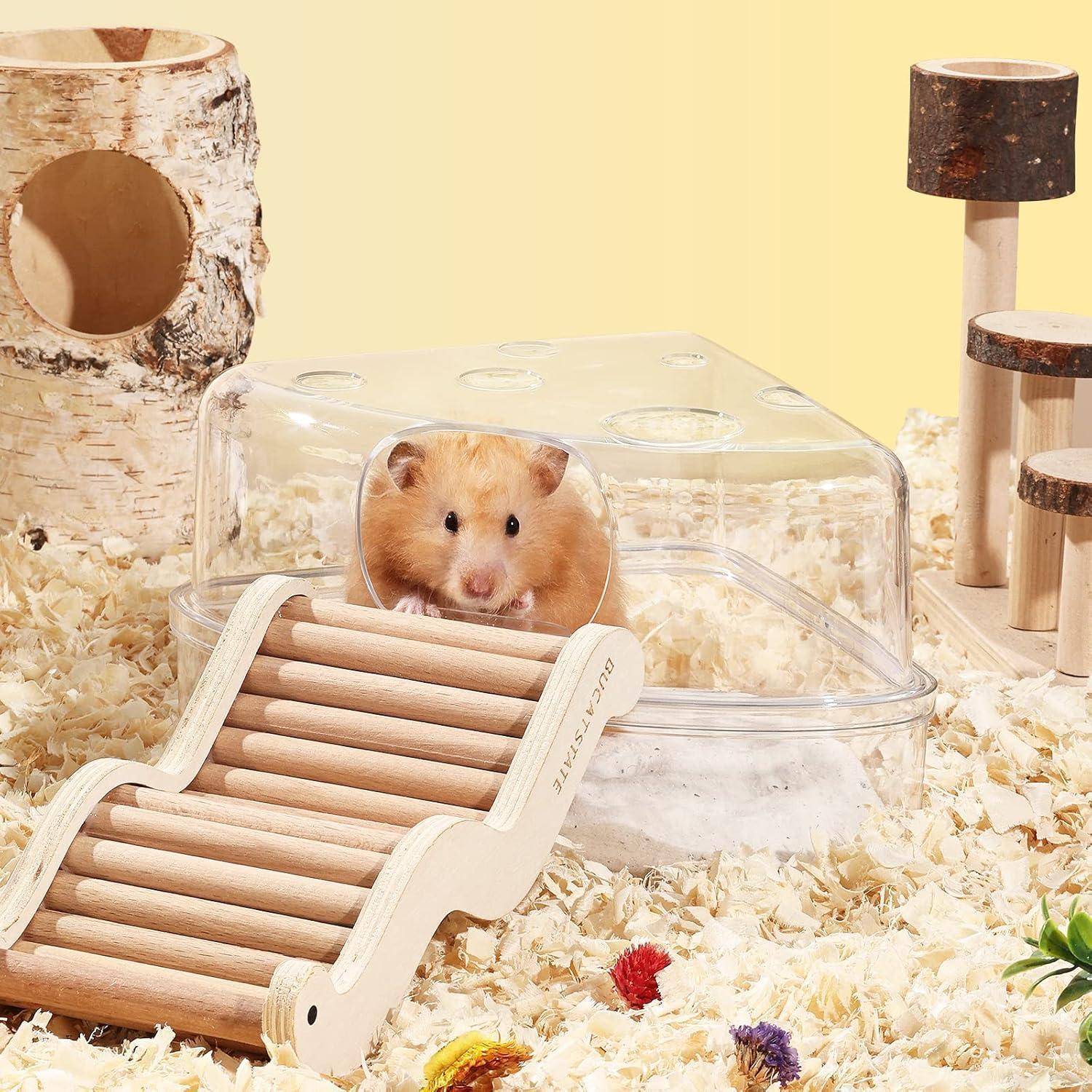Hamster Sandbad Sandkasten Badezimmer für Chinchilla Gerbil