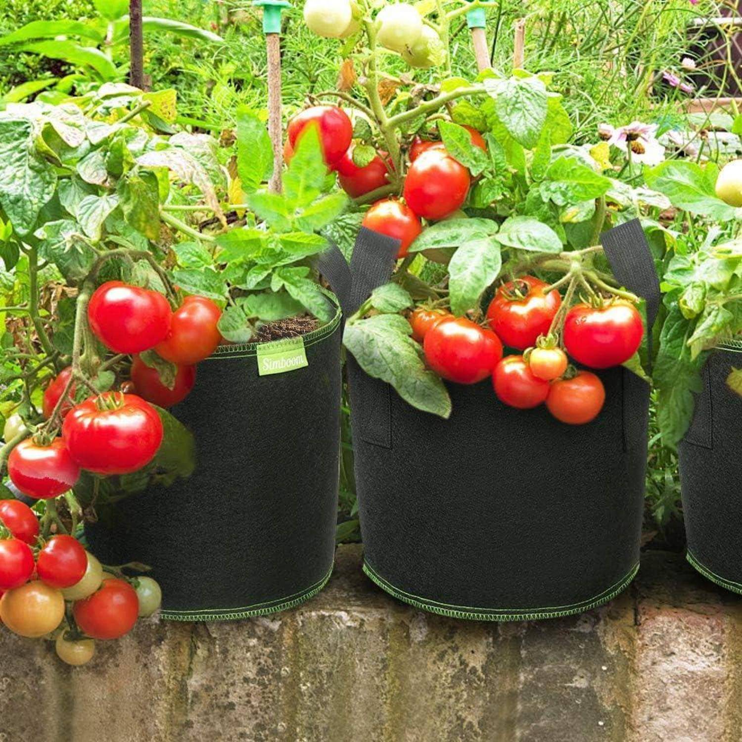 6er Pack Pflanzsack Vliesstoff Griffe Tomaten Schwarz 5 7 10 Gallonen