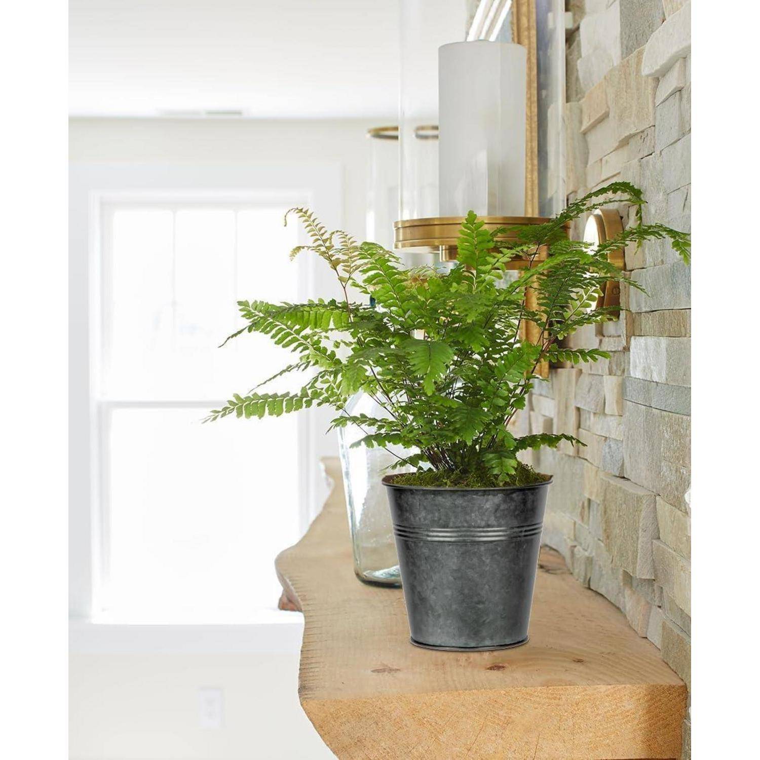 6er Set Hängende Blumentöpfe verzinkter Stahl für moderne Dekoration