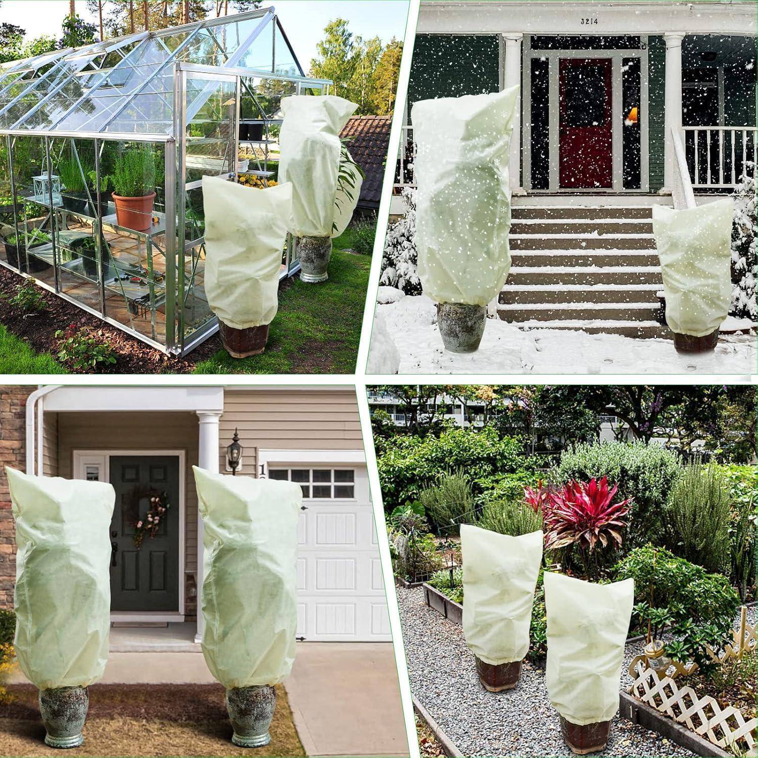 Vier Bilder zeigen Topfpflanzen in Schutzfolien. Im Uhrzeigersinn von oben links: Gewächshaus, verschneite Türschwelle, Gartenpfad, Veranda.