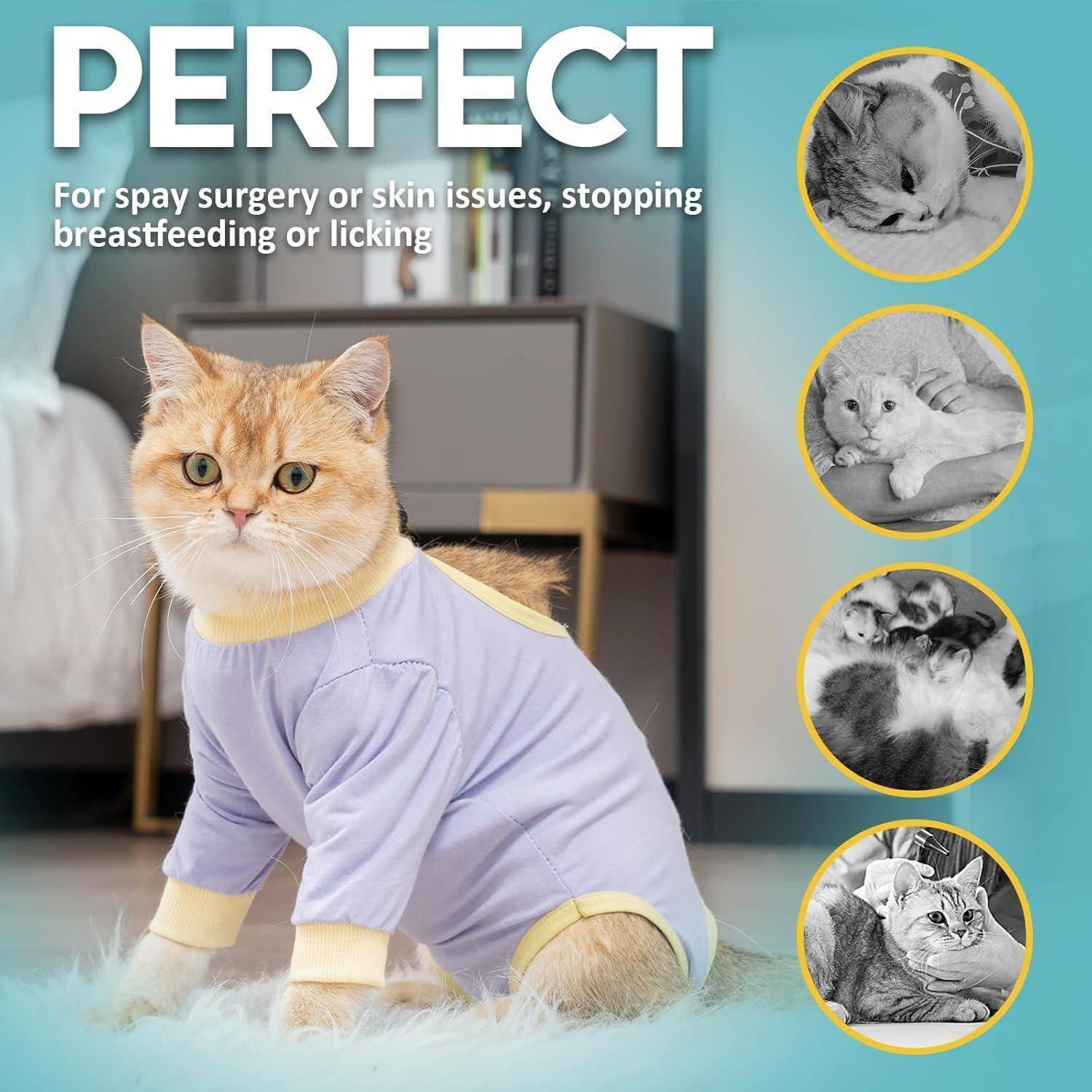 Katzenbody Leckschutz Erholungsanzug Kastration Lavender S