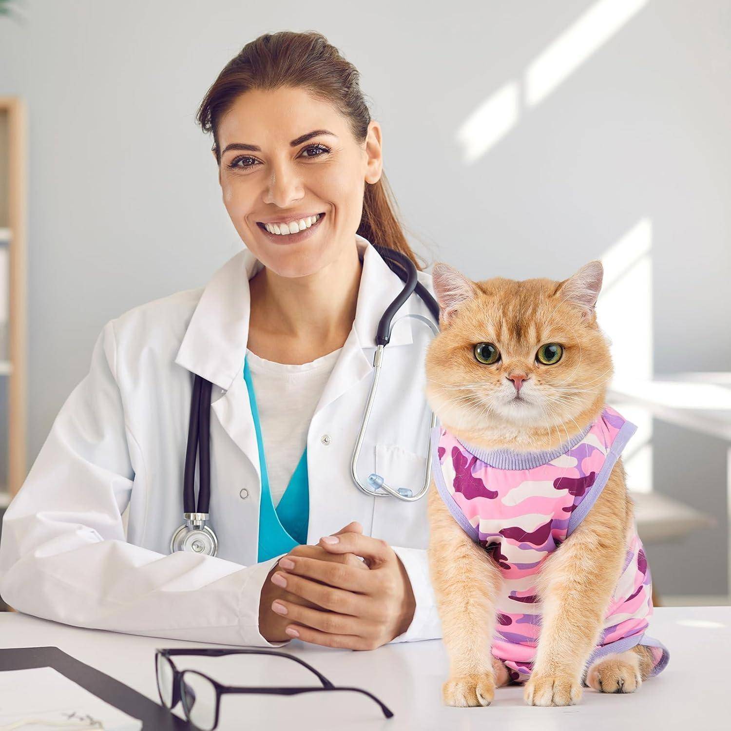 Ein lächelnder Tierarzt mit einem Stethoskop posiert neben einer Katze, die einen pinken Tarnanzug trägt. Die Umgebung ist eine helle, moderne Klinik.
