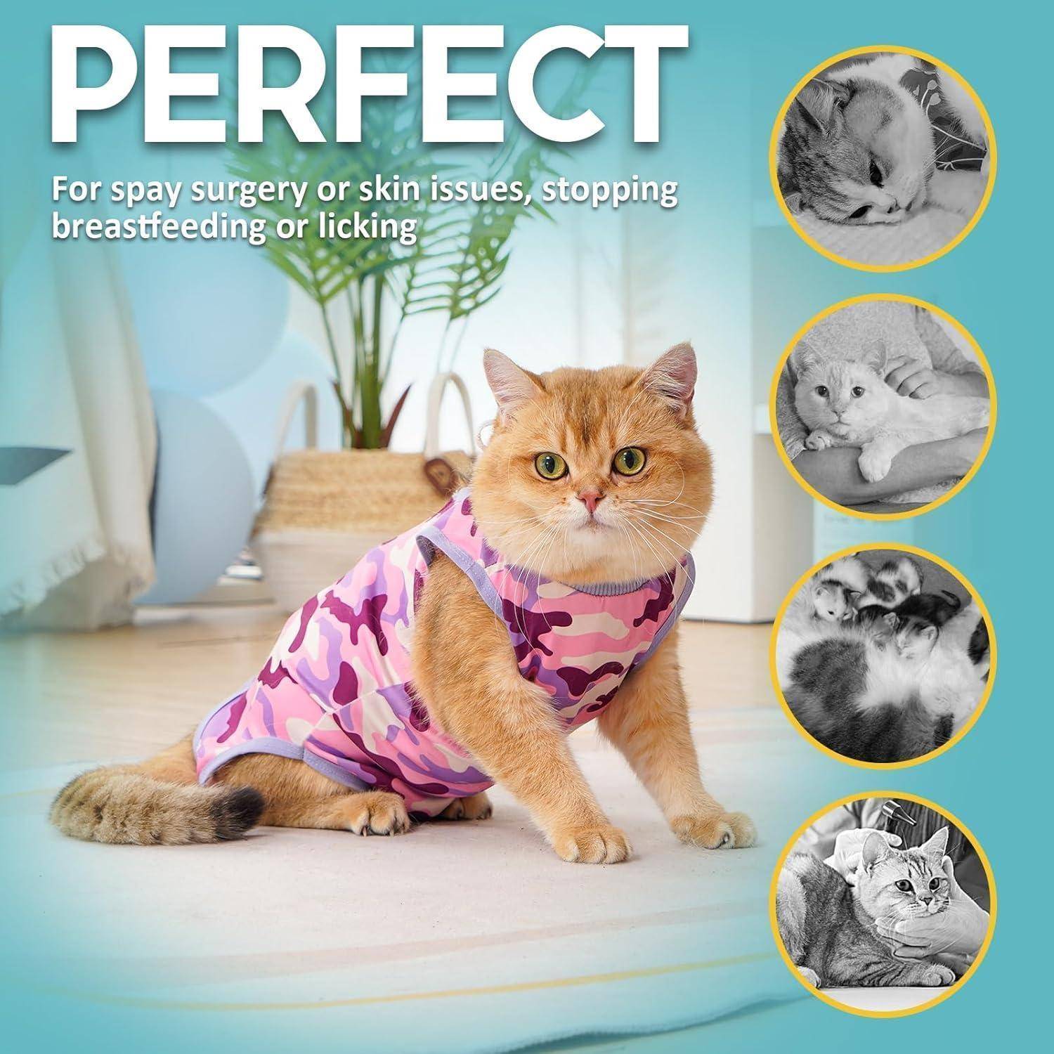 Eine Katze in einem rosa Anzug sitzt drinnen. Text lautet: 'PERFEKT für Kastration oder Hautkrankheiten, zum Abstillen oder Belecken verhindern.' Vier kleinere Bilder zeigen Katzen in ähnlichen Anzügen.