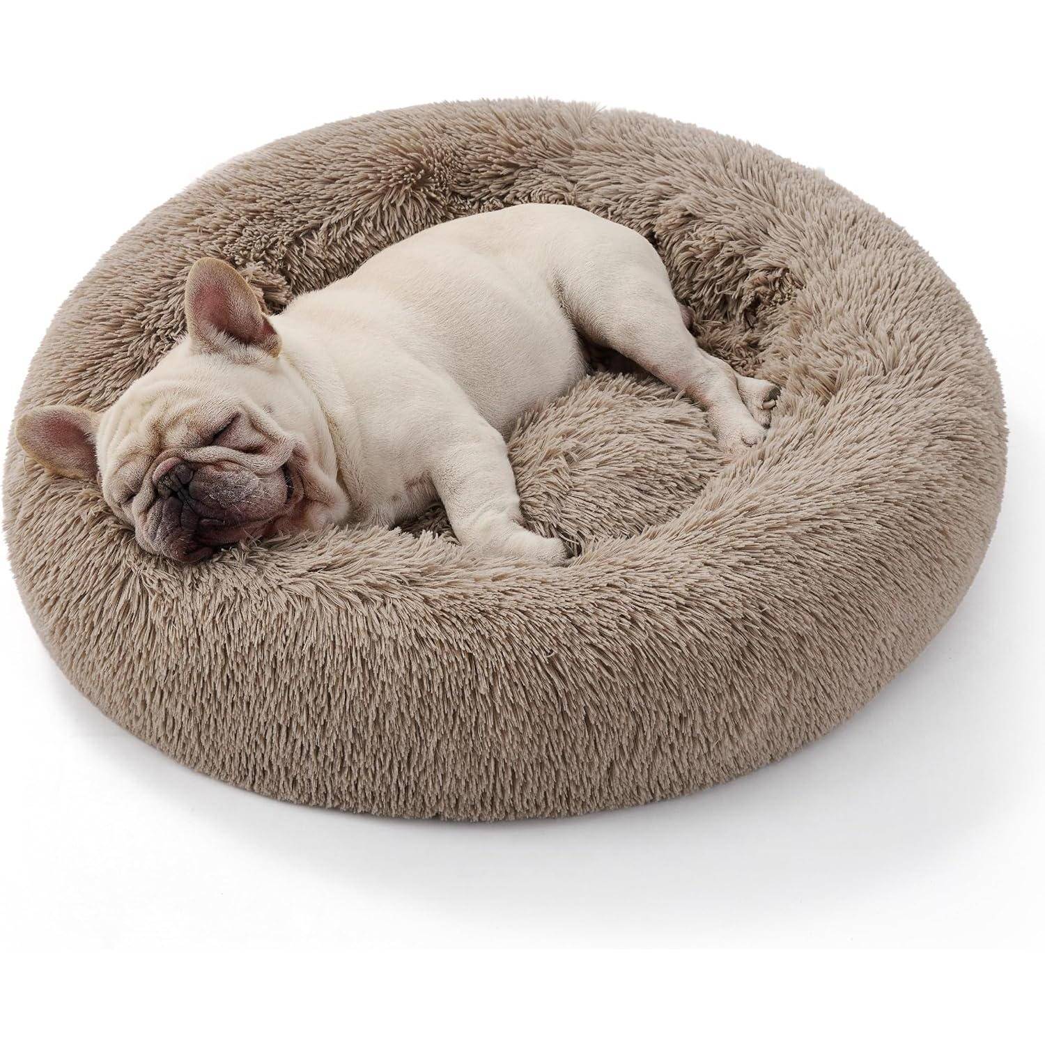 Ein kleiner Hund, möglicherweise eine Französische Bulldogge, schläft behaglich in einem weichen, runden, beigen Tierbett und wirkt entspannt und friedlich.