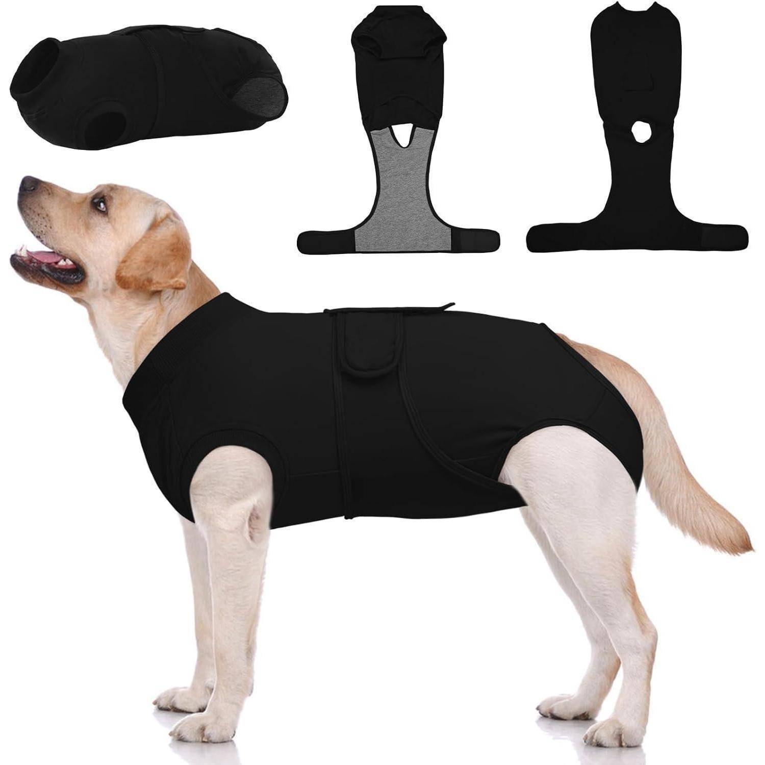 Ein gelber Labrador Retriever trägt eine schwarze Hundeveste. Darüber sind drei Ansichten der Weste gezeigt: Seitenansicht, Draufsicht und Frontansicht.