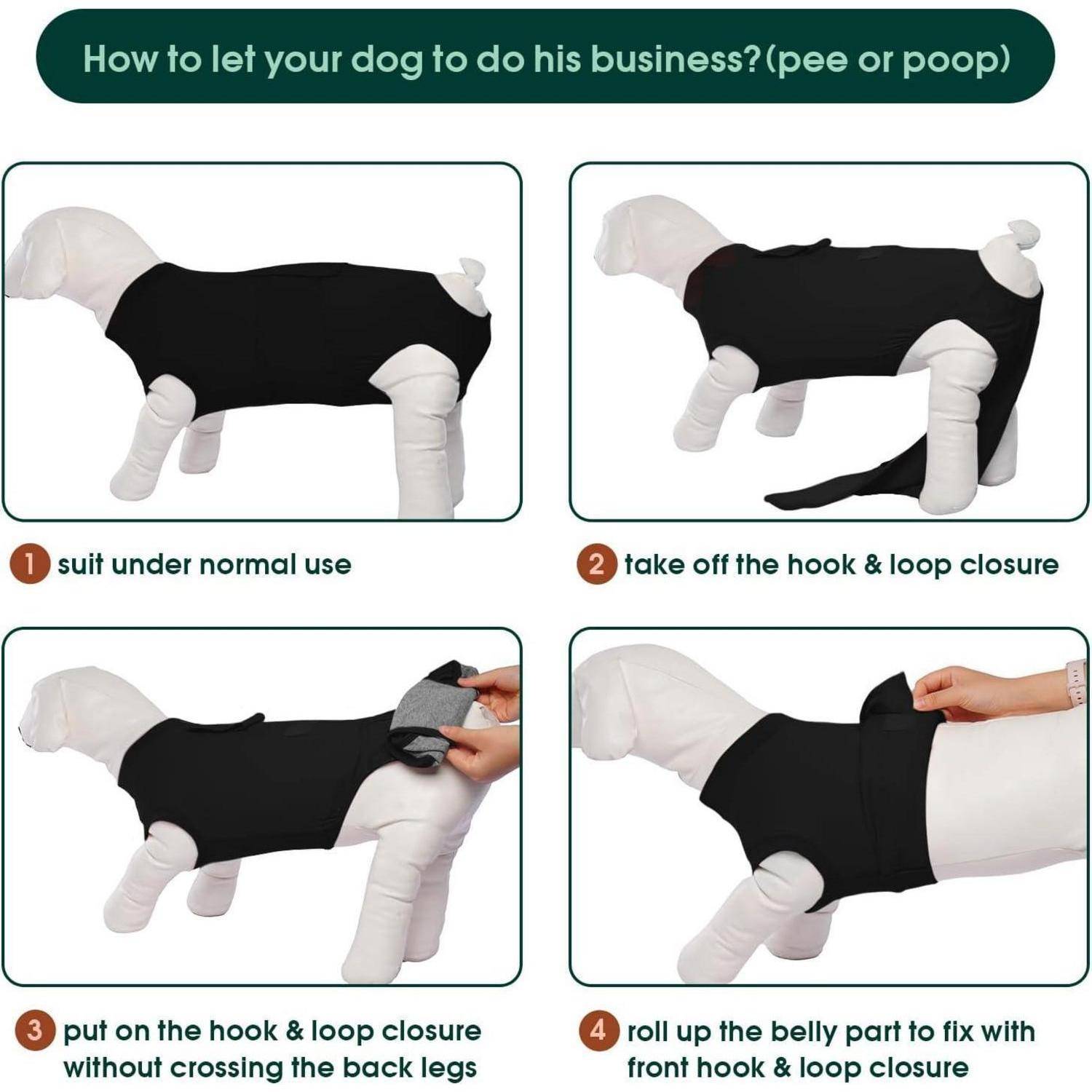 Wie lässt man seinen Hund seine Geschäfte verrichten? (Pinkeln oder Koten) - Vierschrittanleitung zur Verwendung eines Hundekleidungsstücks mit Klett- und Hakenverschlüssen für einfachen Zugang.
