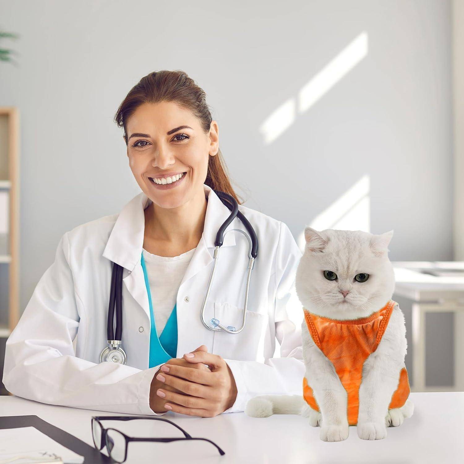 Ein lächelnder Tierarzt sitzt an einem Schreibtisch neben einer weißen Katze, die eine orangefarbene Weste trägt. Die Szene vermittelt eine fürsorgliche und professionelle Atmosphäre.