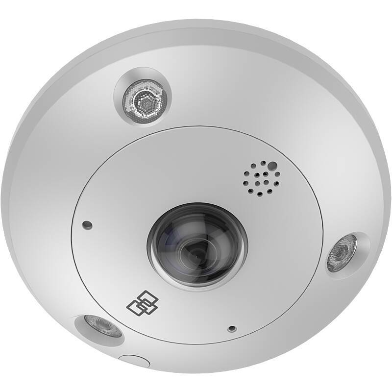 TruVision TVF-5204 IP-Kamera 12MPx T/N IR PoE IP67, 12 MegapixelDome Kamera, Panorama Kamera | Blickwinkel:360° (Objekt