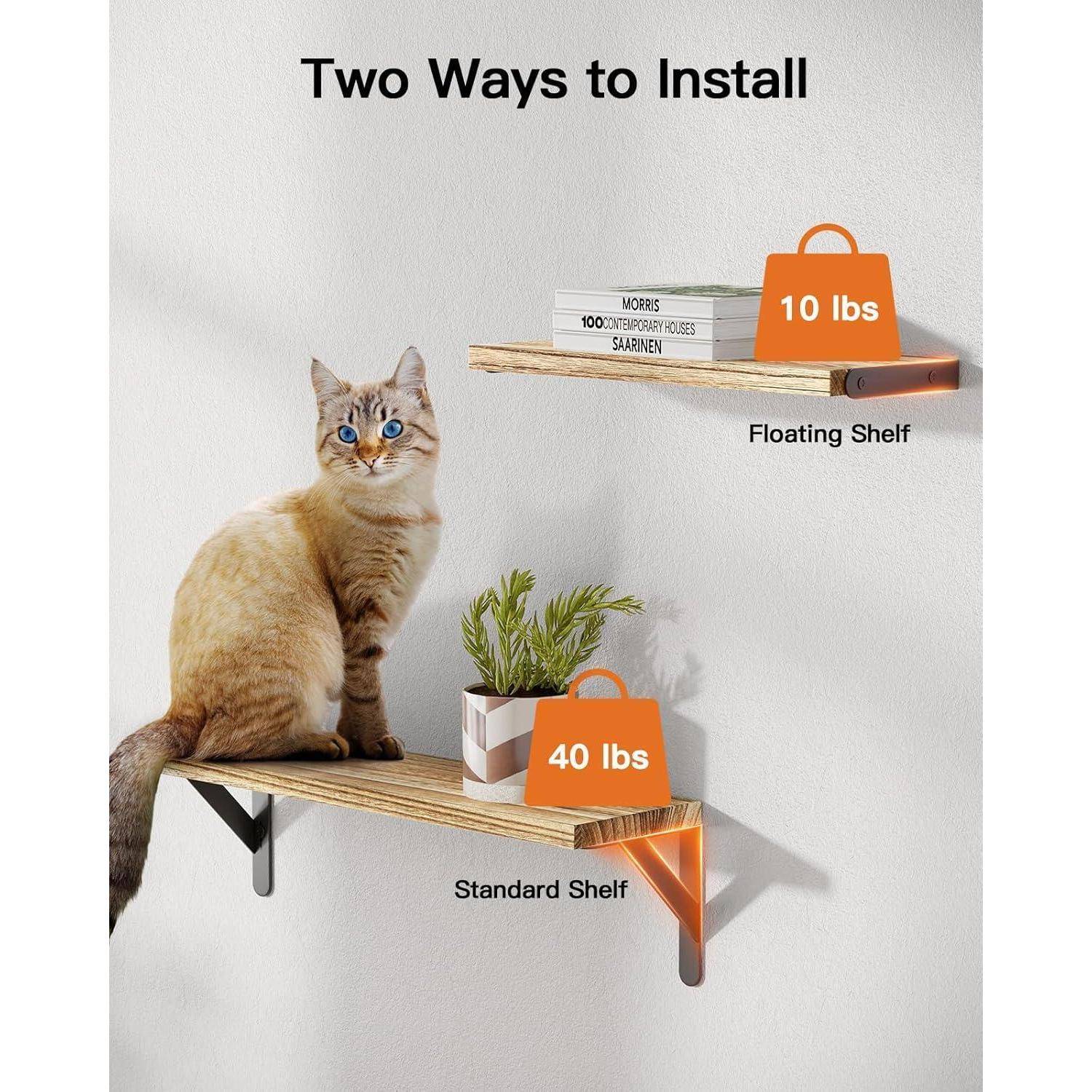 Eine Katze sitzt auf einem Standardregal, das für 40 Pfund ausgelegt ist, mit einer Pflanze daneben. Darüber befindet sich ein schwebendes Regal mit Büchern, das für 10 Pfund ausgelegt ist.