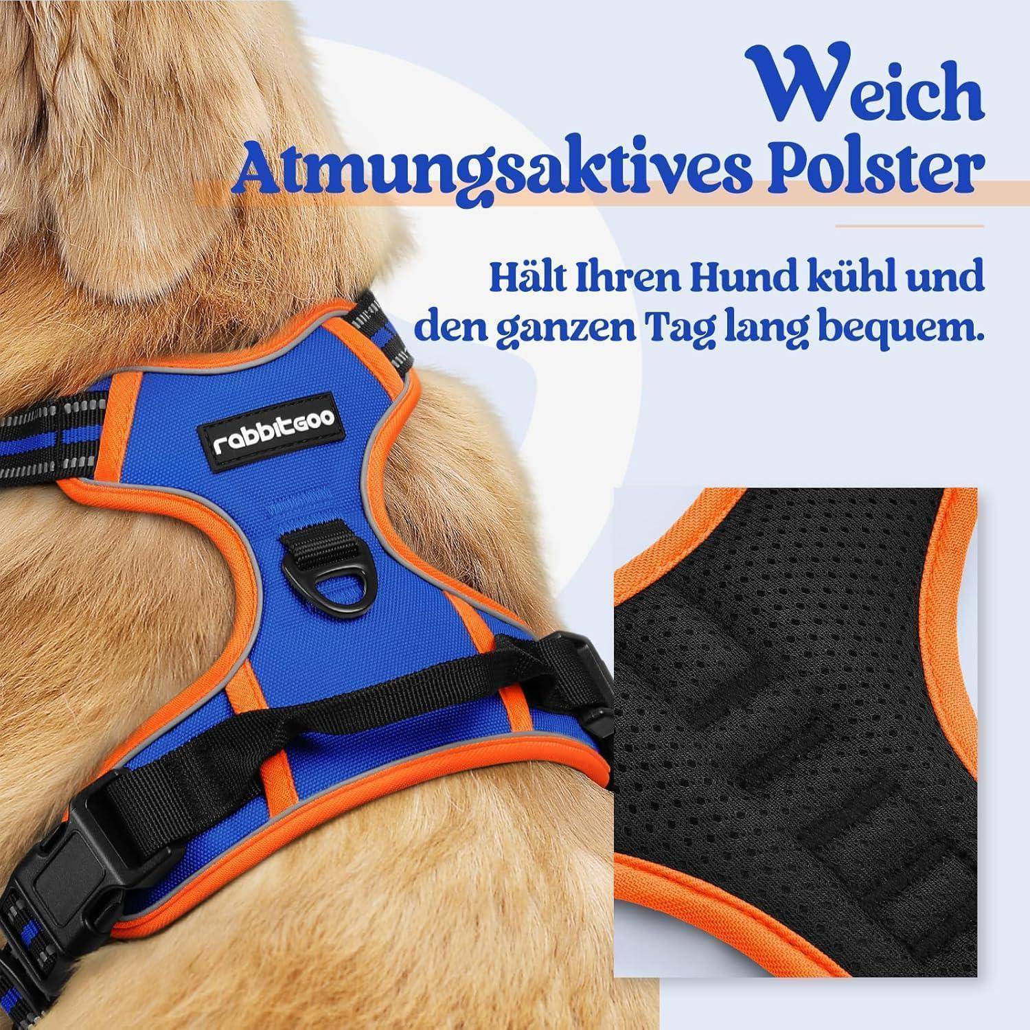 Ein Hund, der ein blau-orangefarbenes Geschirr trägt. Text lautet: 'Weiches atmungsaktives Polster. Hält Ihren Hund kühl und den ganzen Tag lang bequem.