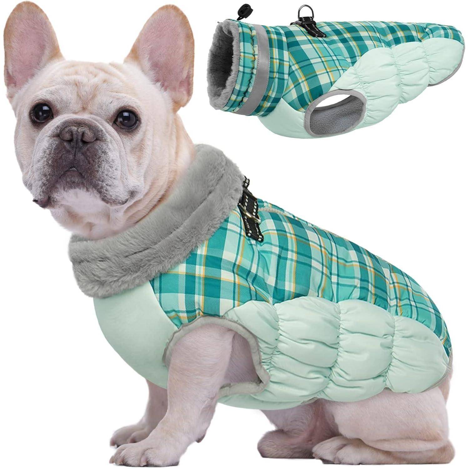 Ein kleiner Hund, der eine Jacke in Petrol- und Grüntönen mit Karomuster und einem grauen Pelzkragen trägt. Ein Ausschnitt zeigt das vollständige Design der Jacke.