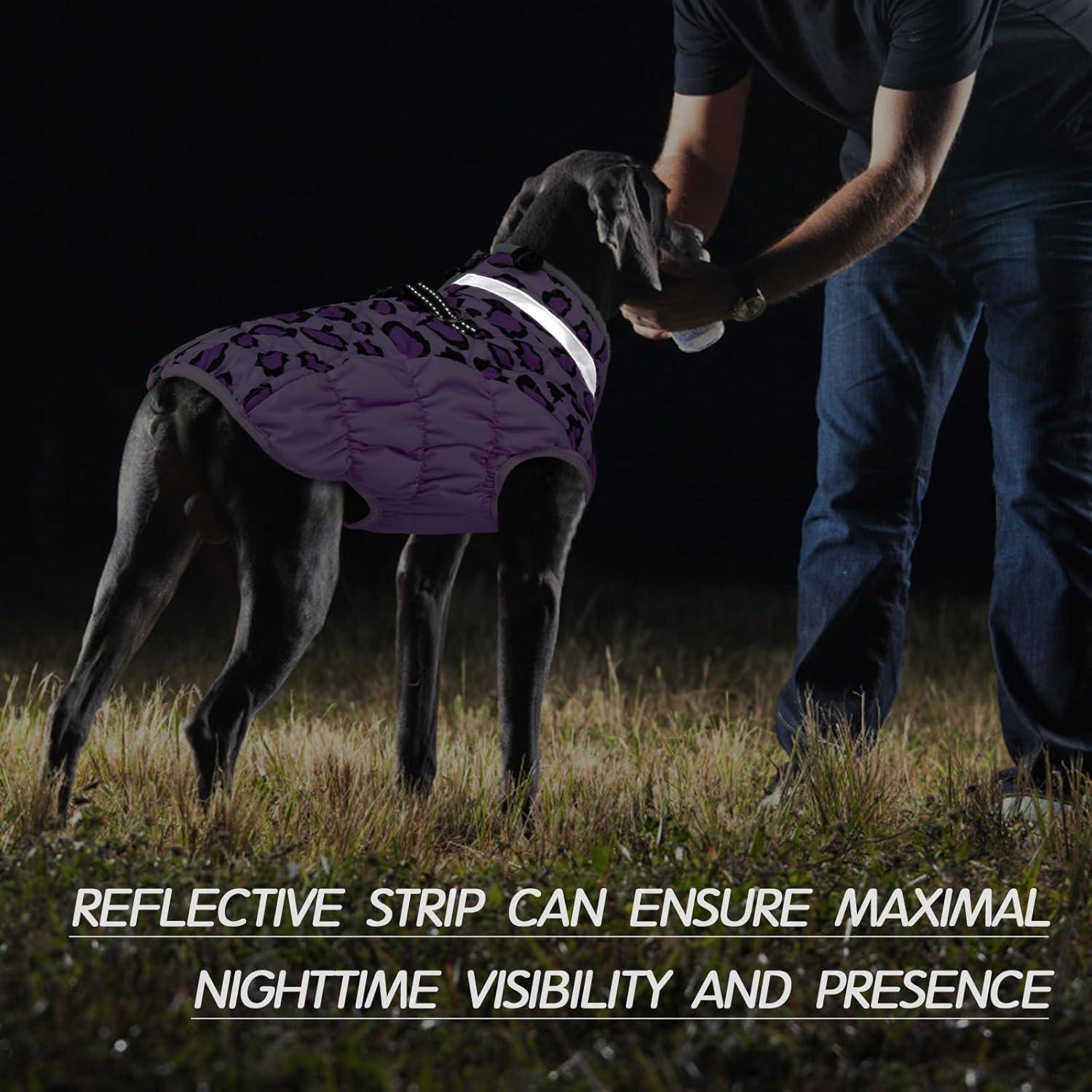 Ein Hund mit einer reflektierenden Warnweste steht, wobei Beine einer Person sichtbar sind. Text lautet: ‚Ein reflektierender Streifen kann maximale Sichtbarkeit und Präsenz während der Nacht gewährleisten.