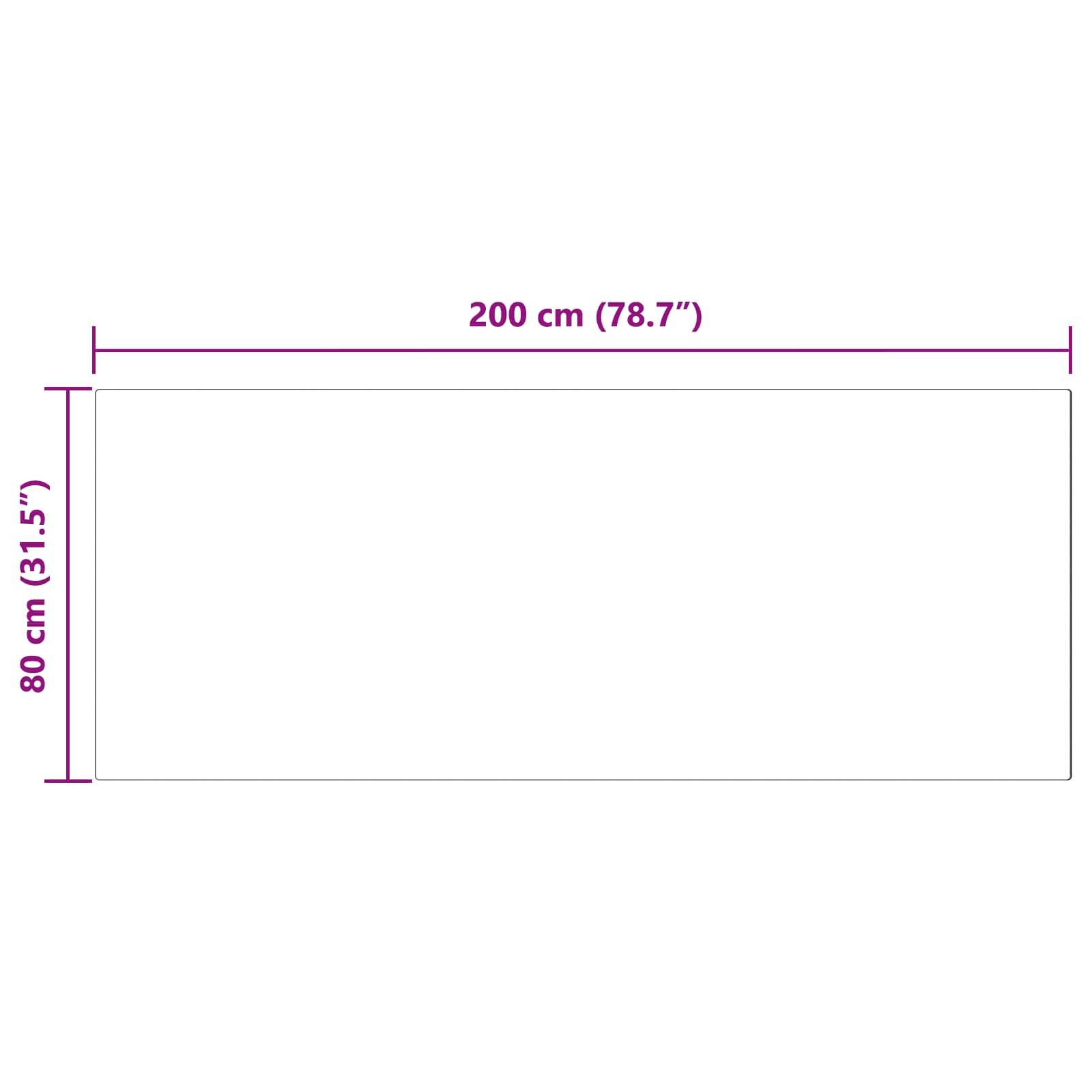 Ein Rechteck mit einer Breite von 200 cm (78,7 Zoll) und einer Höhe von 80 cm (31,5 Zoll), dessen Abmessungen in lila Text beschriftet sind.
