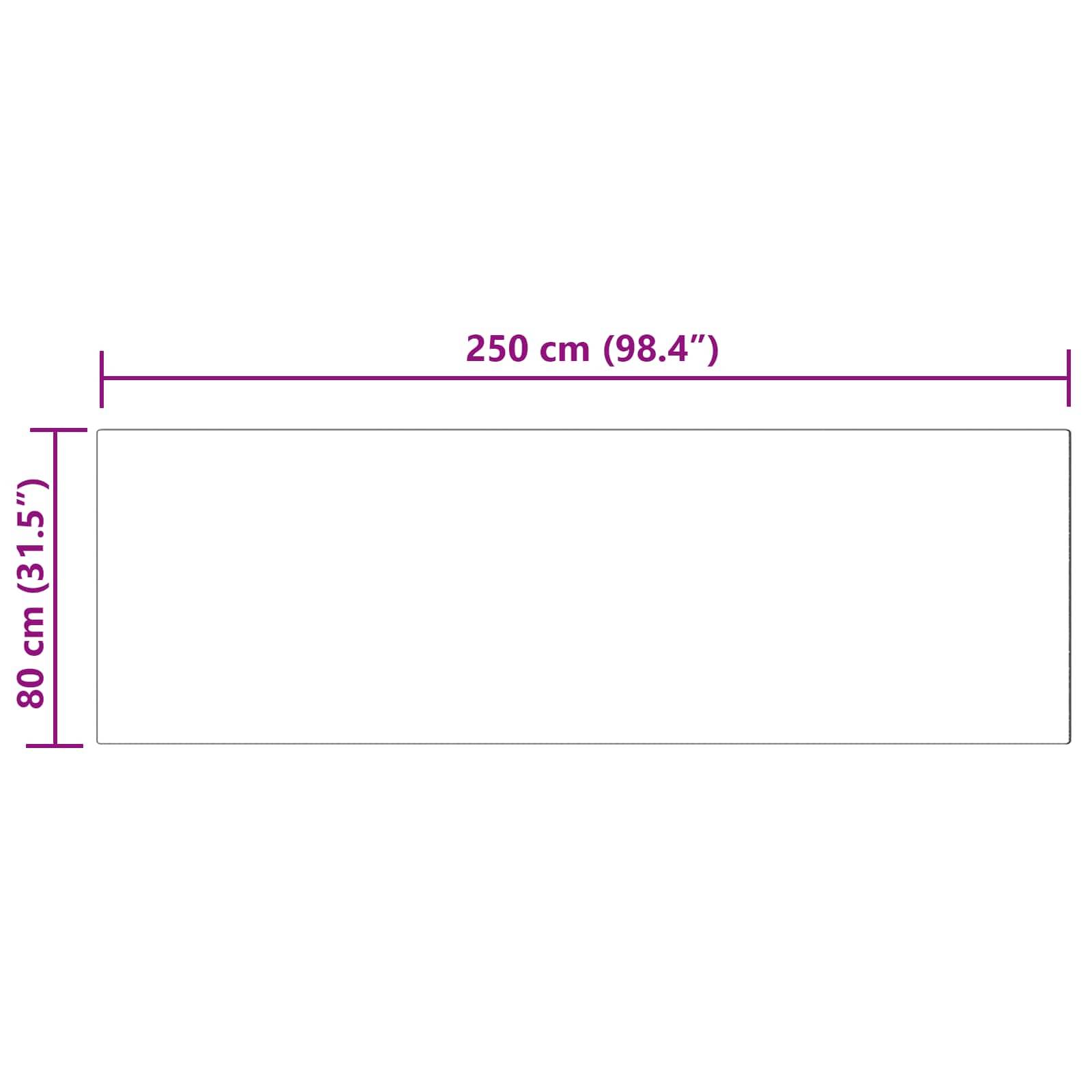 Eine rechteckige Form mit gekennzeichneten Abmessungen: Breite 250 cm (98,4