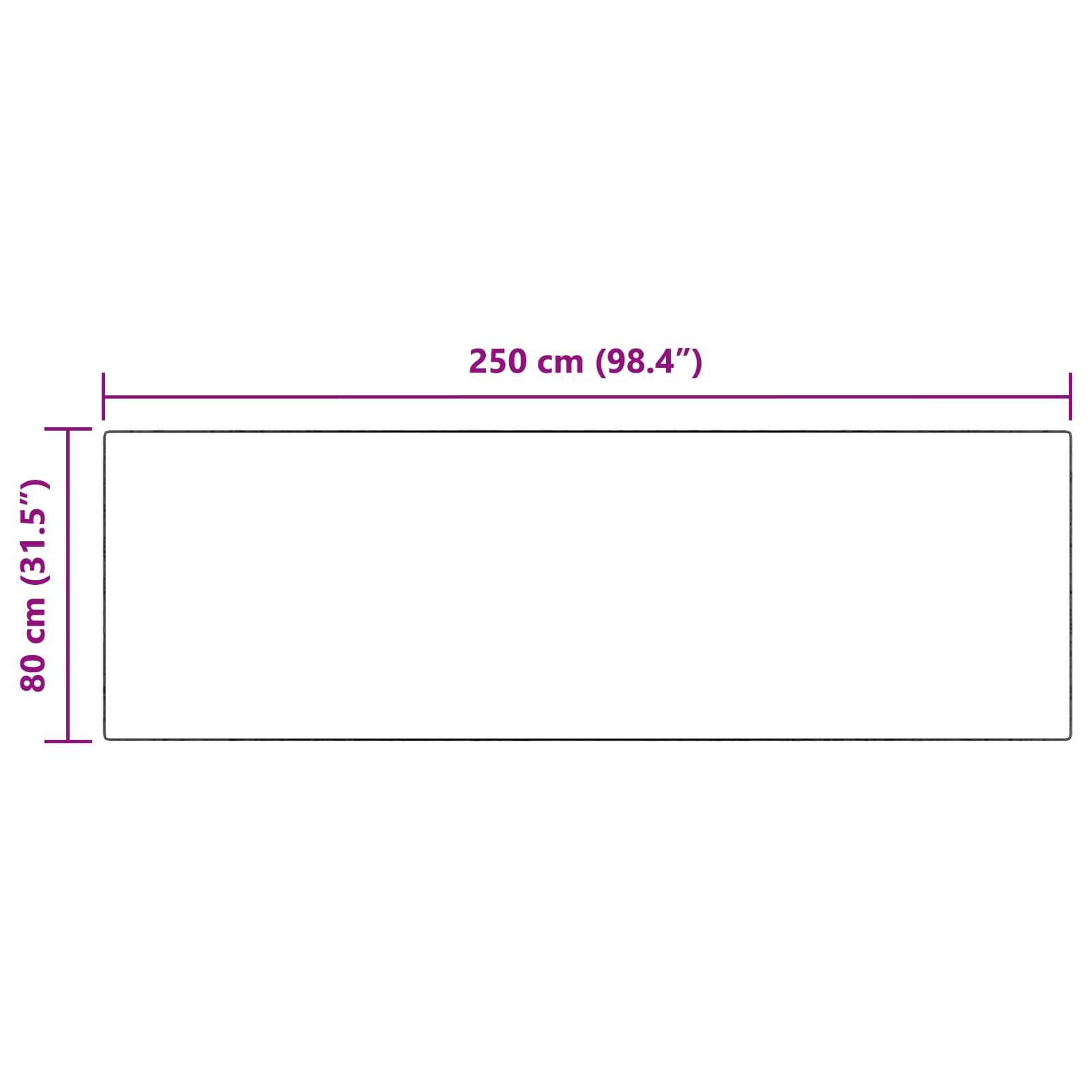 Rechteckige Fläche mit einer Länge von 250 cm (98,4 Zoll) und einer Breite von 80 cm (31,5 Zoll), mit dargestellten Abmessungen umrandet.