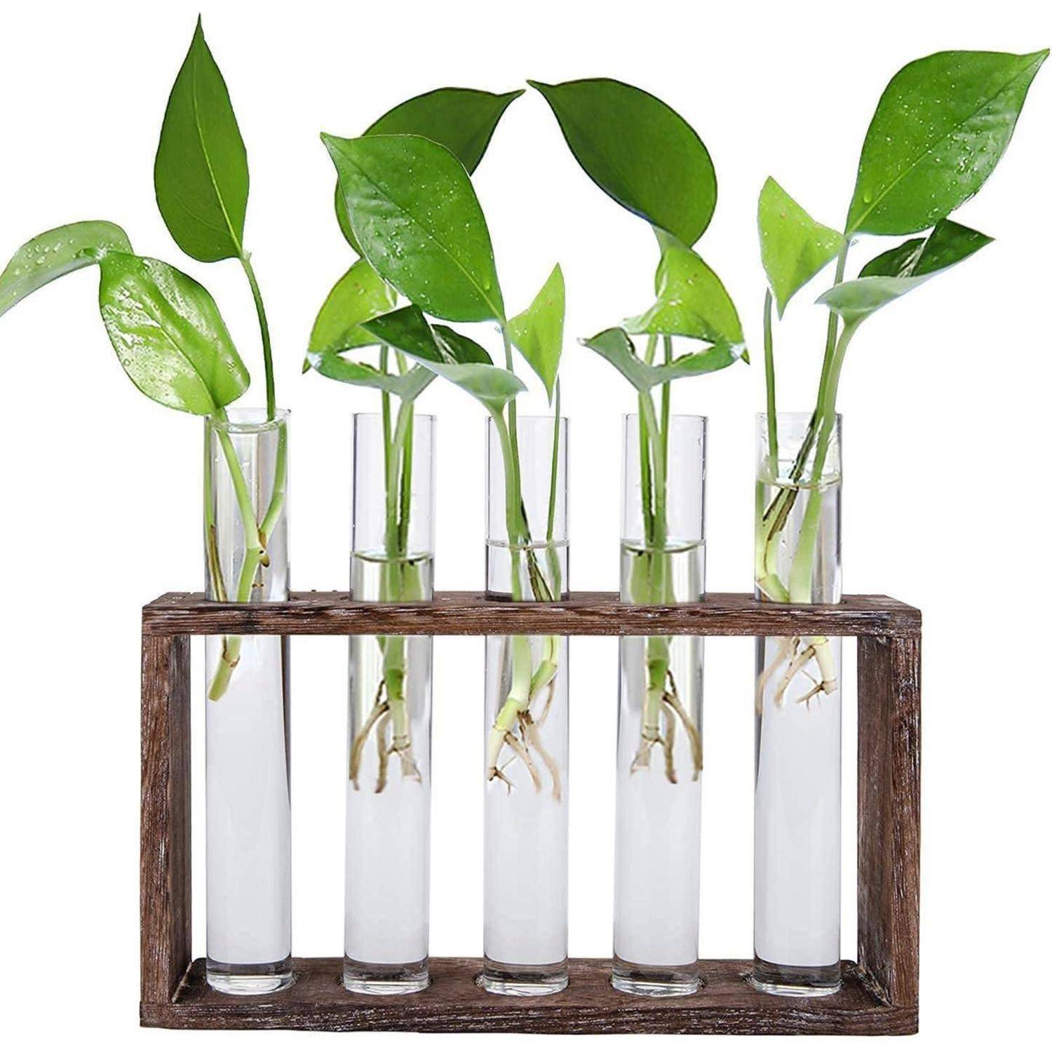 Reagenzglas Vase mit 5 Rohren für Hydrokultur Pflanzen Vintage Glas