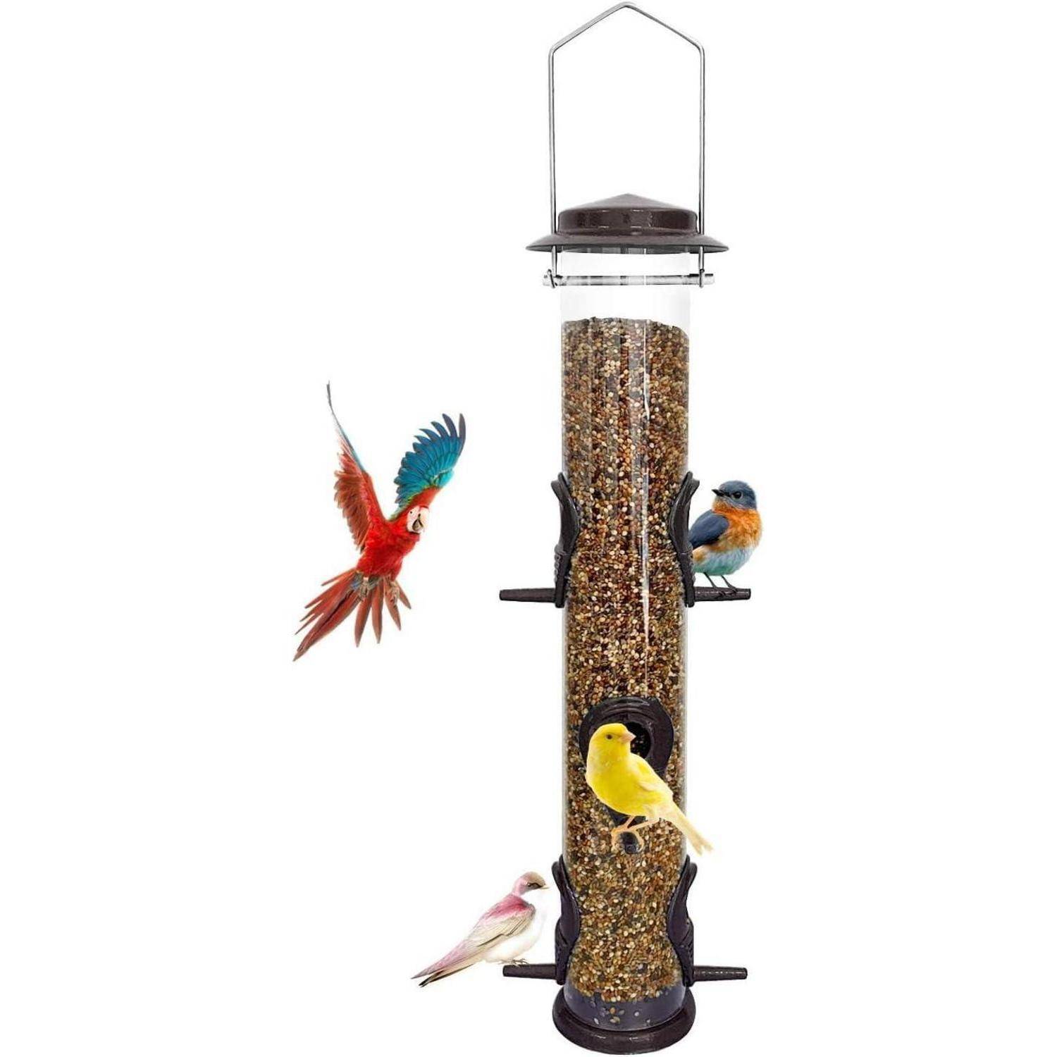 Eine durchsichtige Vogelfütterung, gefüllt mit Samen, auf der ein roter Papagei, ein blauer Vogel, ein gelber Vogel und ein weißer Vogel sitzend oder fliegend zu sehen sind.