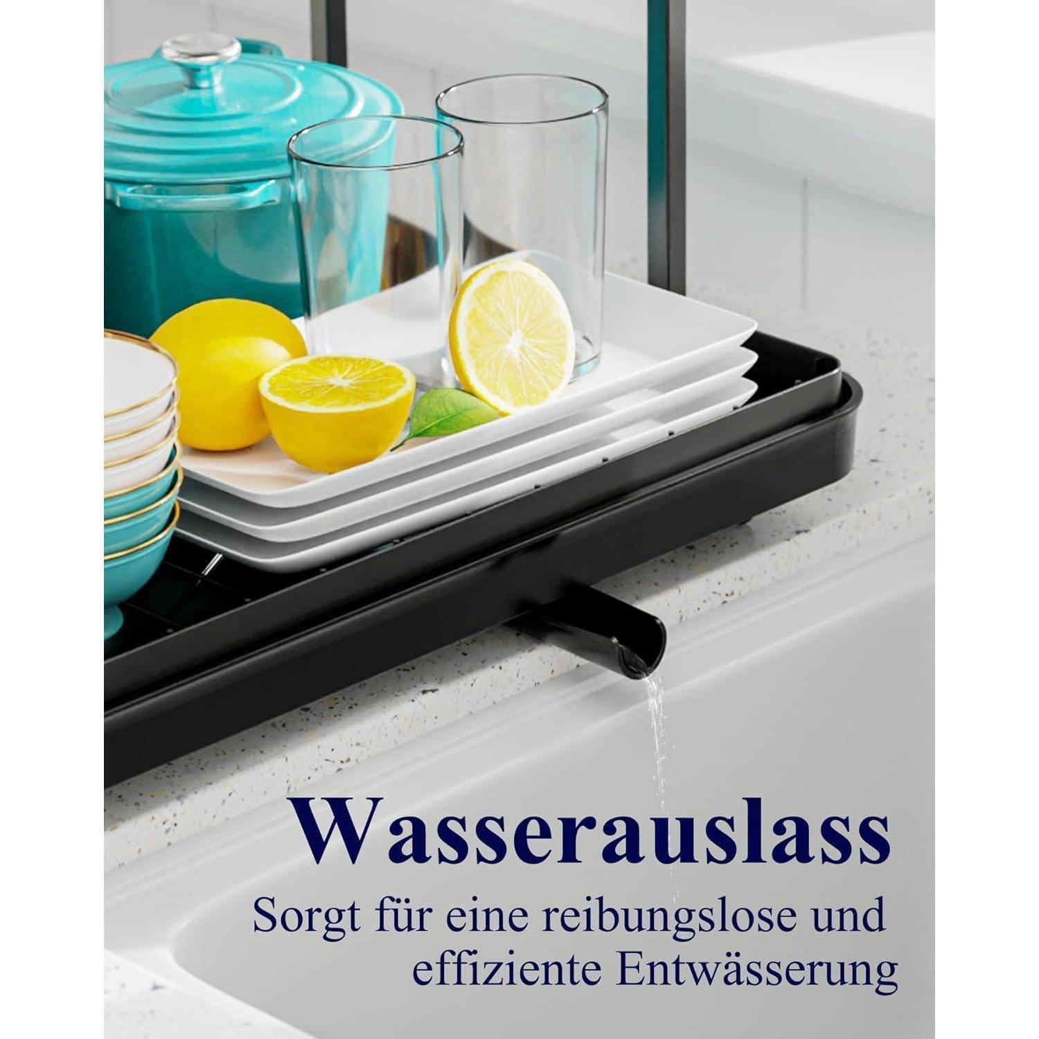 Abtropfgestell Geschirrständer Edelstahl Besteckhalter Schwarz 2-Tiers