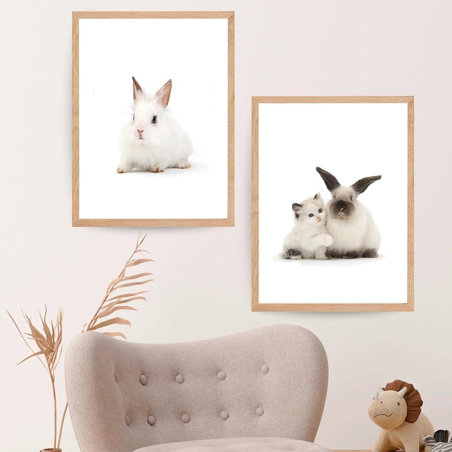 Gemütliche Wohnzimmerszene mit zwei gerahmten Fotos von Kaninchen an der Wand, einem gepolsterten Sessel, einer kleinen Pflanze und einem Stofftier auf dem Boden.