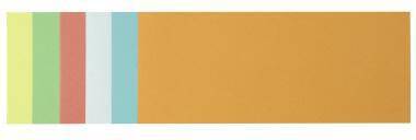 Soennecken Moderationskarte 4877 9,5x20,5cm sort. 250 St./Pack.